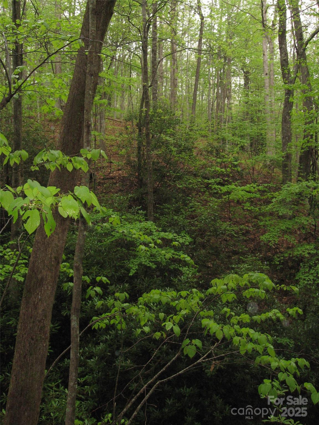 313 Line Runner Ridge Road - Photo 28