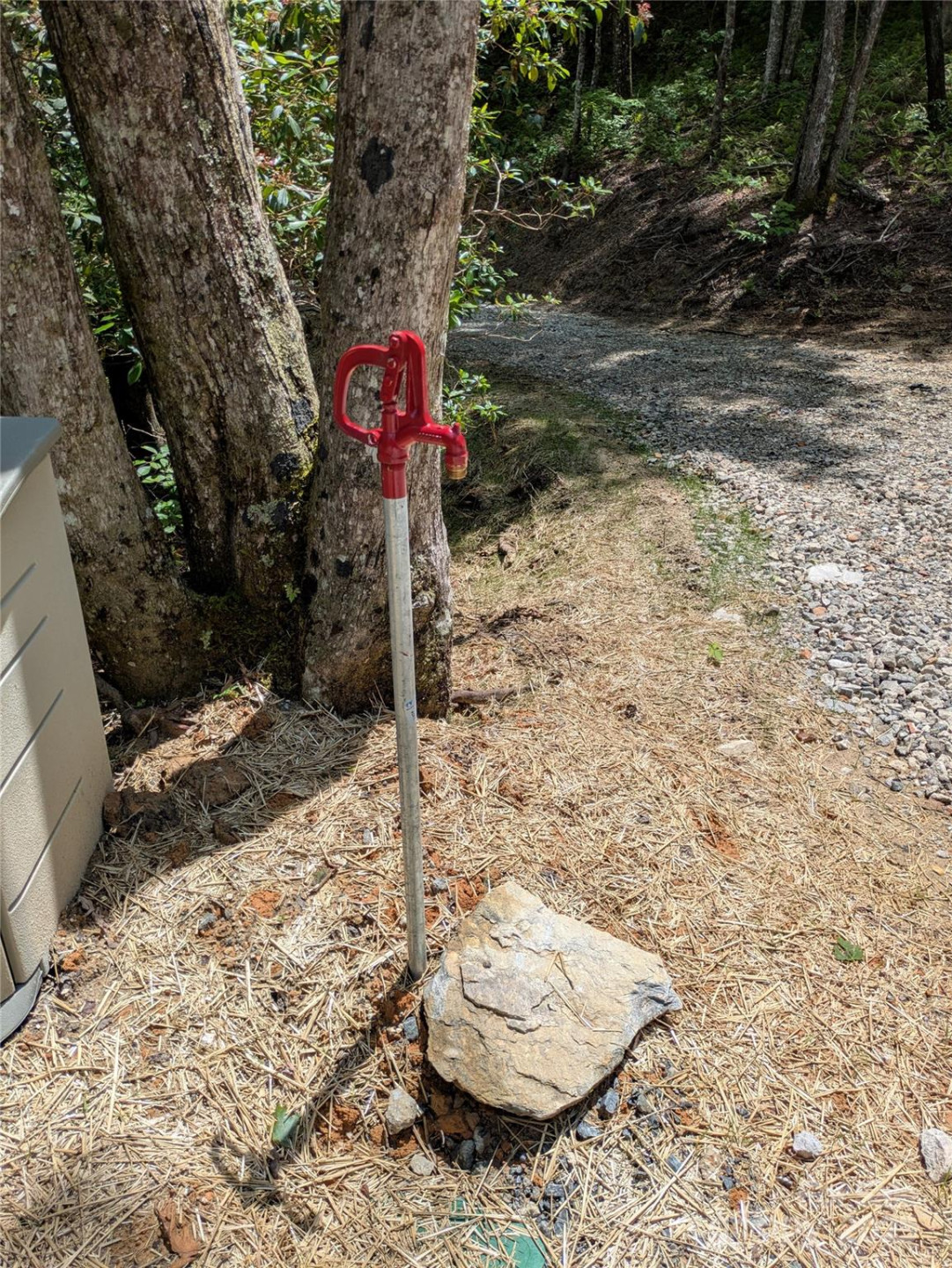 313 Line Runner Ridge Road - Photo 4