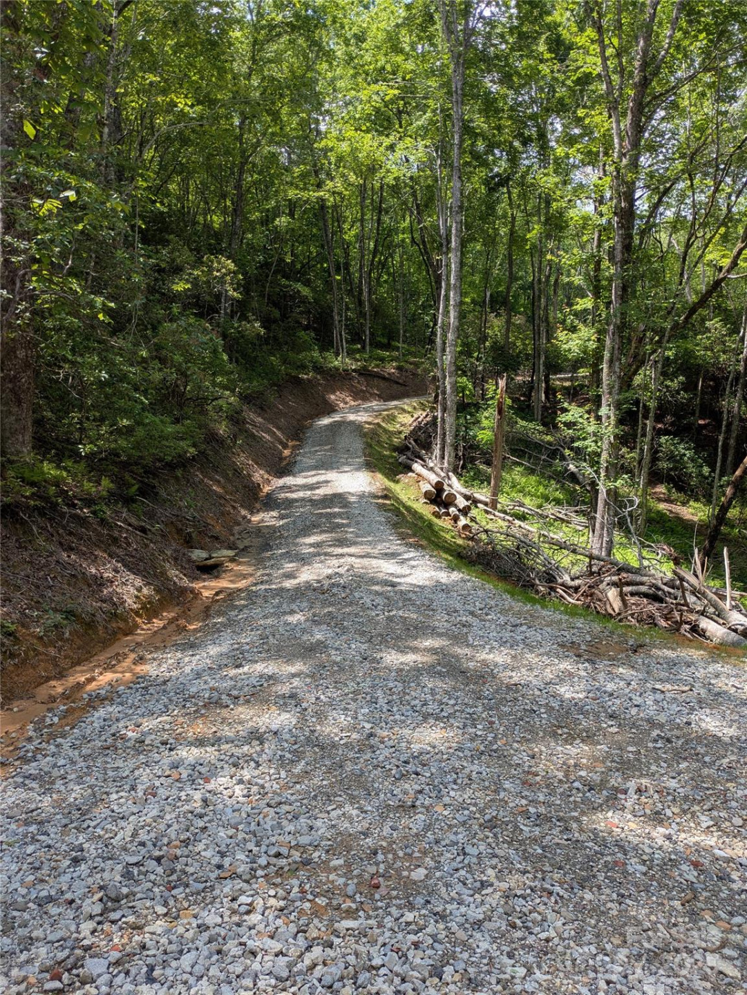 313 Line Runner Ridge Road - Photo 31