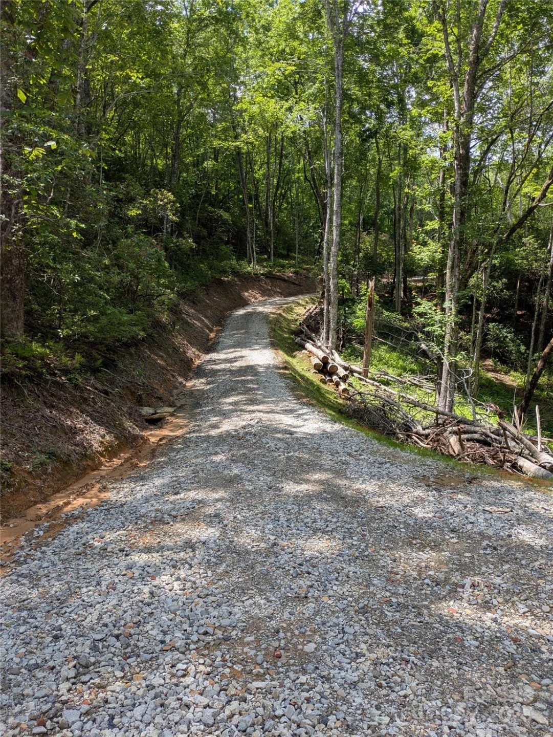 313 Line Runner Ridge Road - Photo 31