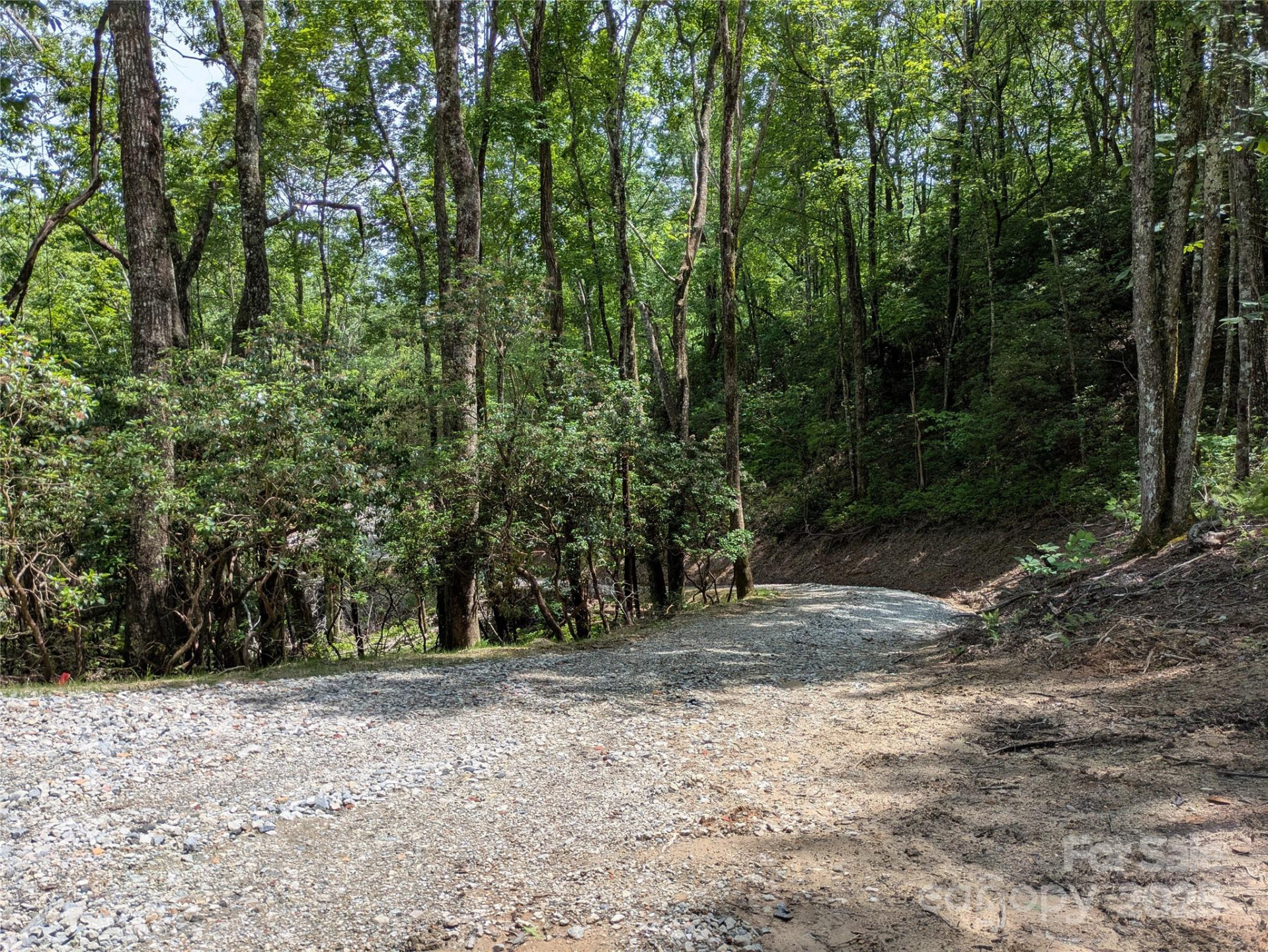 313 Line Runner Ridge Road - Photo 33