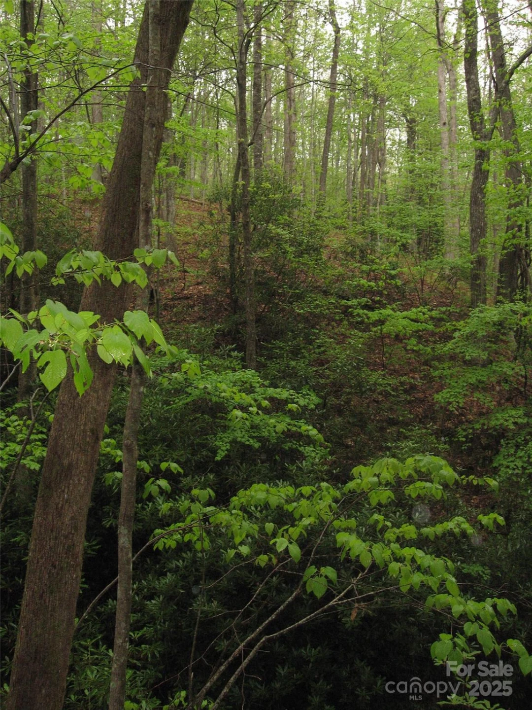 313 Line Runner Ridge Road - Photo 35