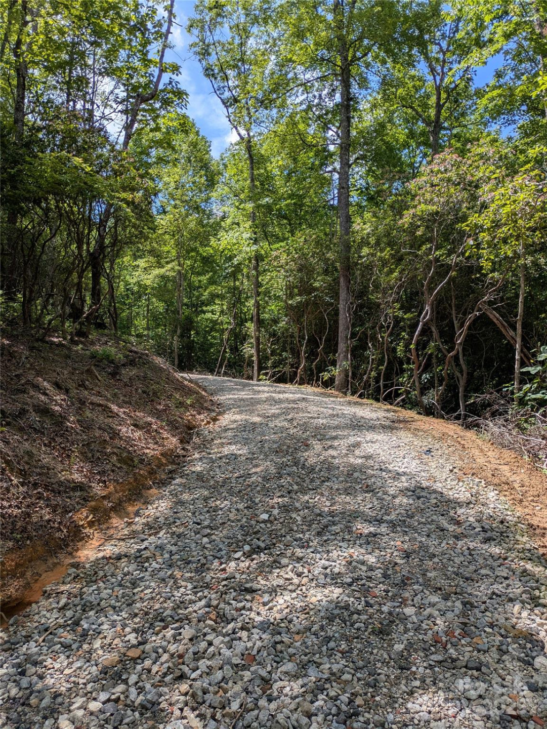 313 Line Runner Ridge Road - Photo 37