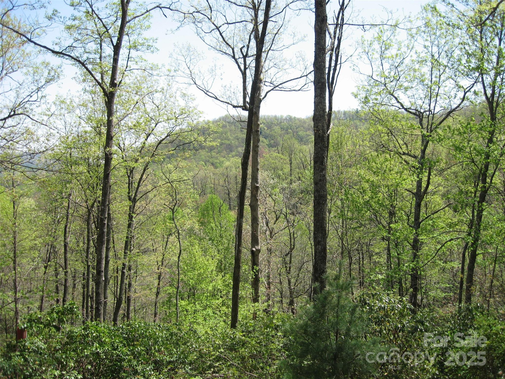 313 Line Runner Ridge Road - Photo 5