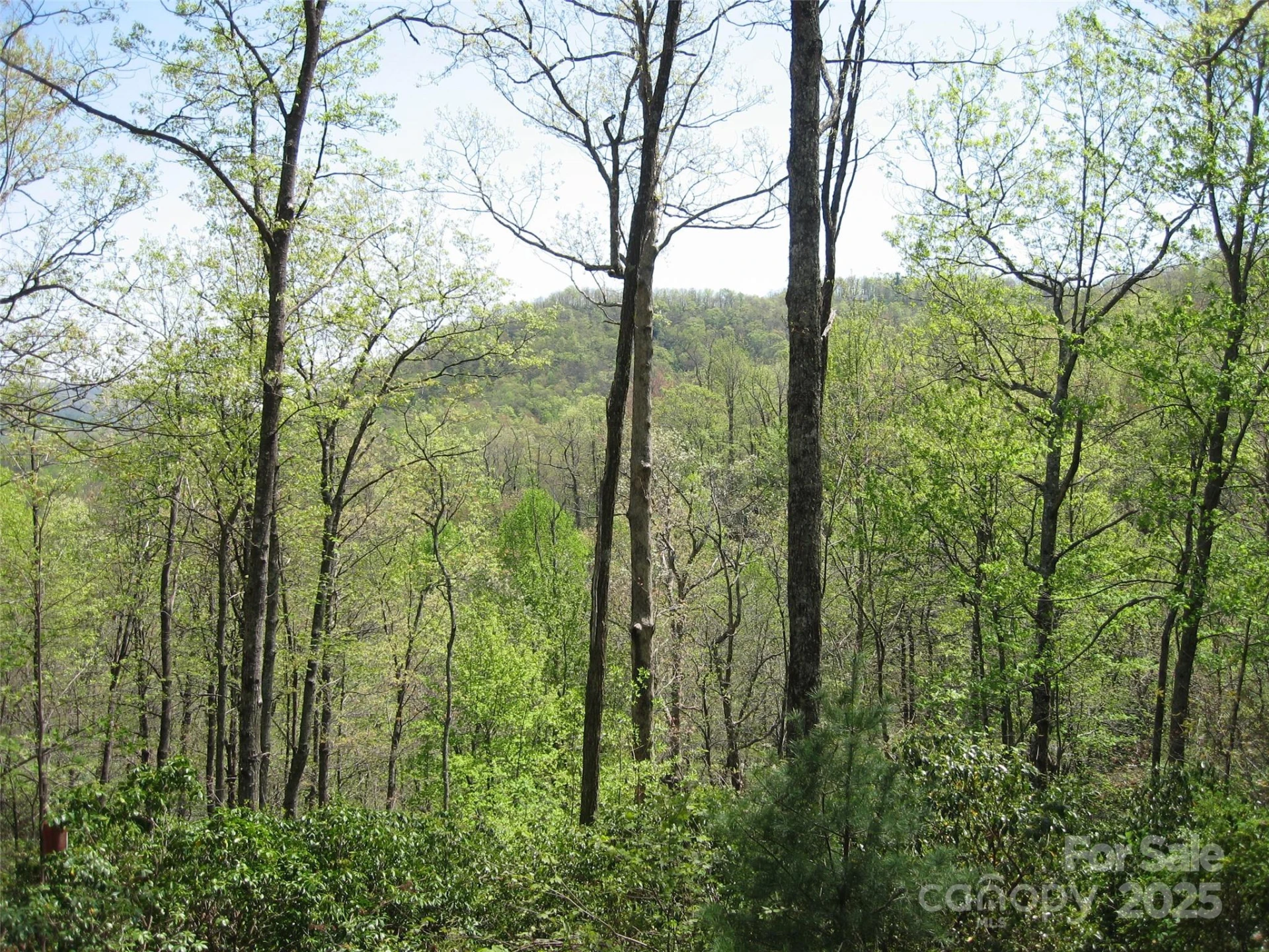 313 Line Runner Ridge Road - Photo 5