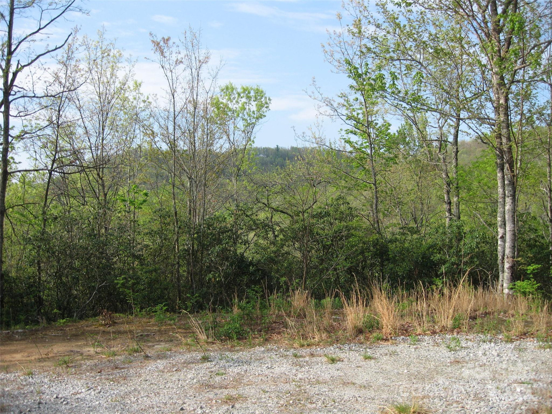 313 Line Runner Ridge Road - Photo 6