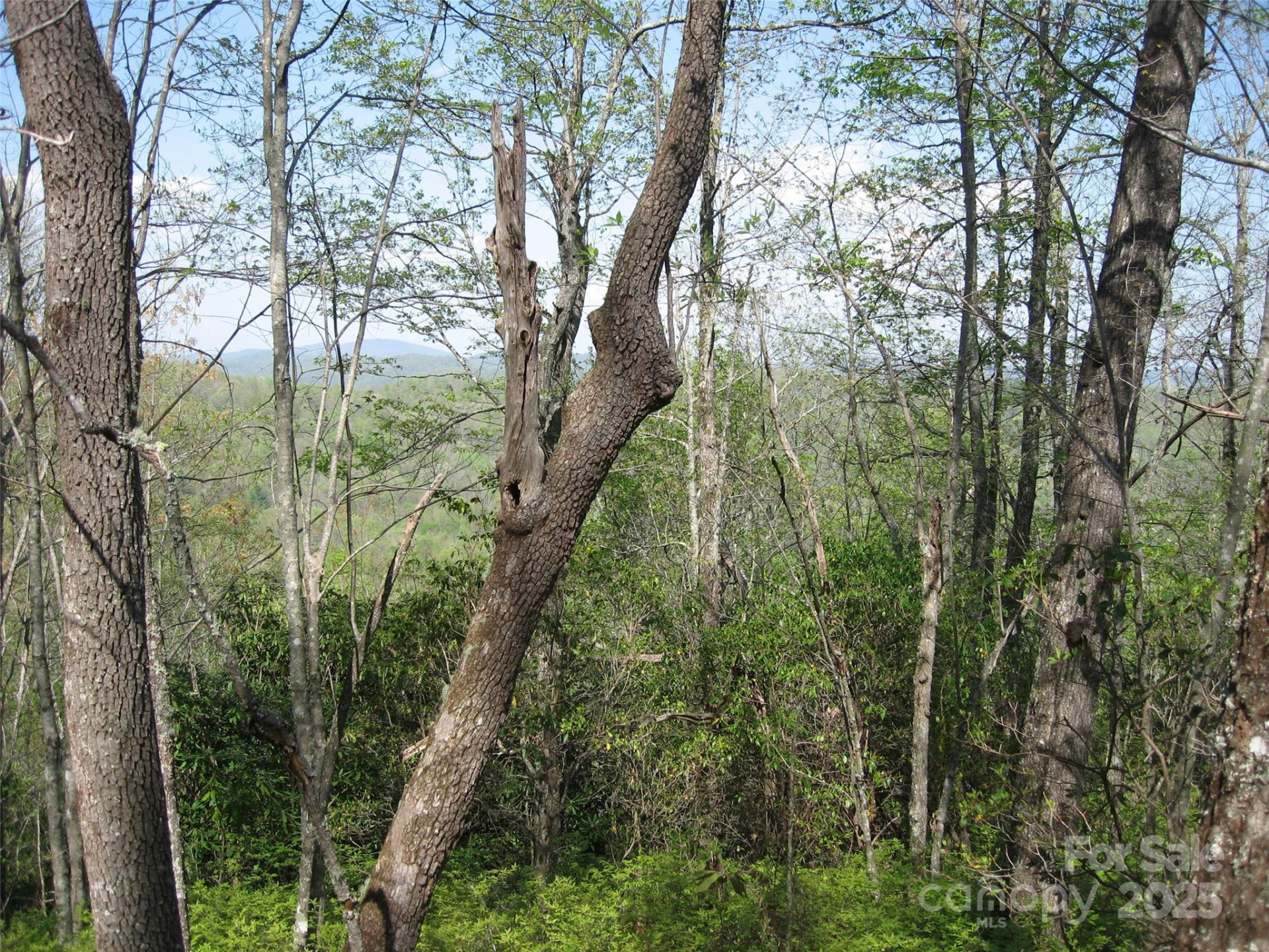 313 Line Runner Ridge Road - Photo 8