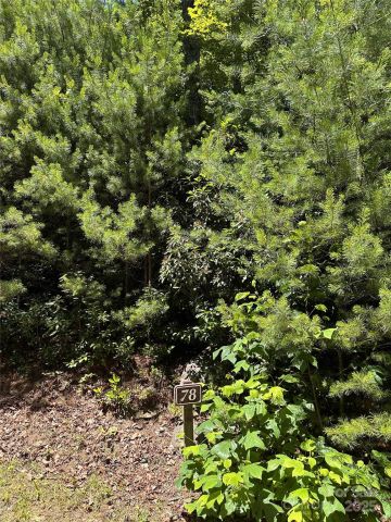 66 Boone Cove Road, Zirconia, NC, 28790