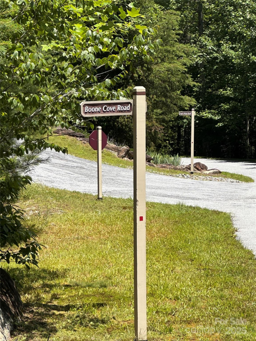 66 Boone Cove Road - Photo 2