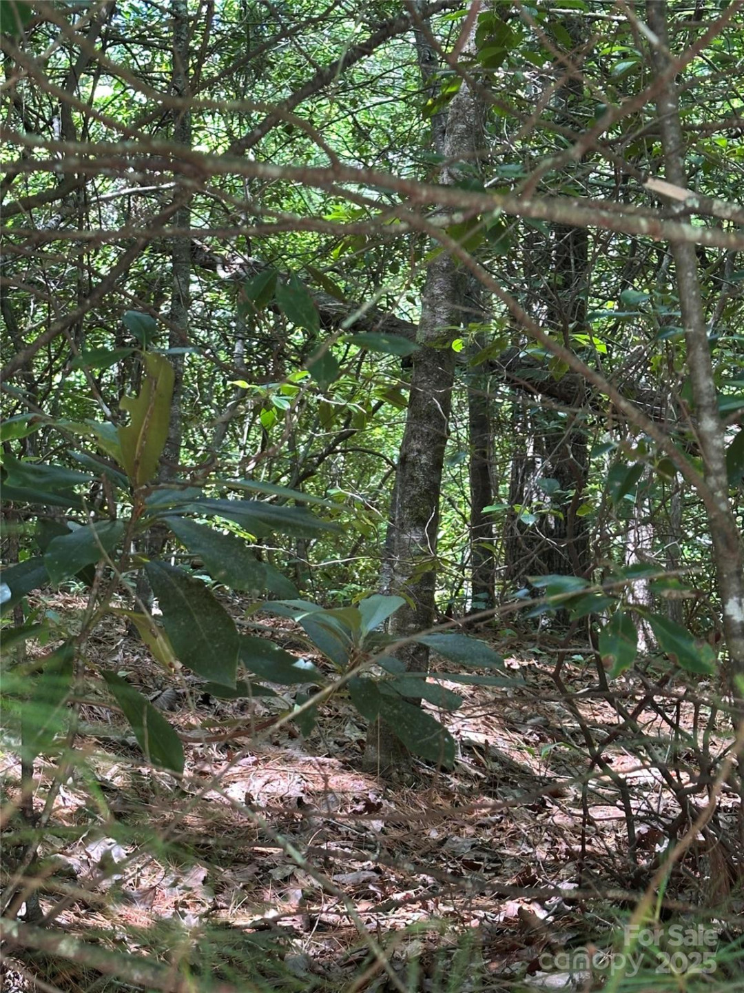 66 Boone Cove Road - Photo 3