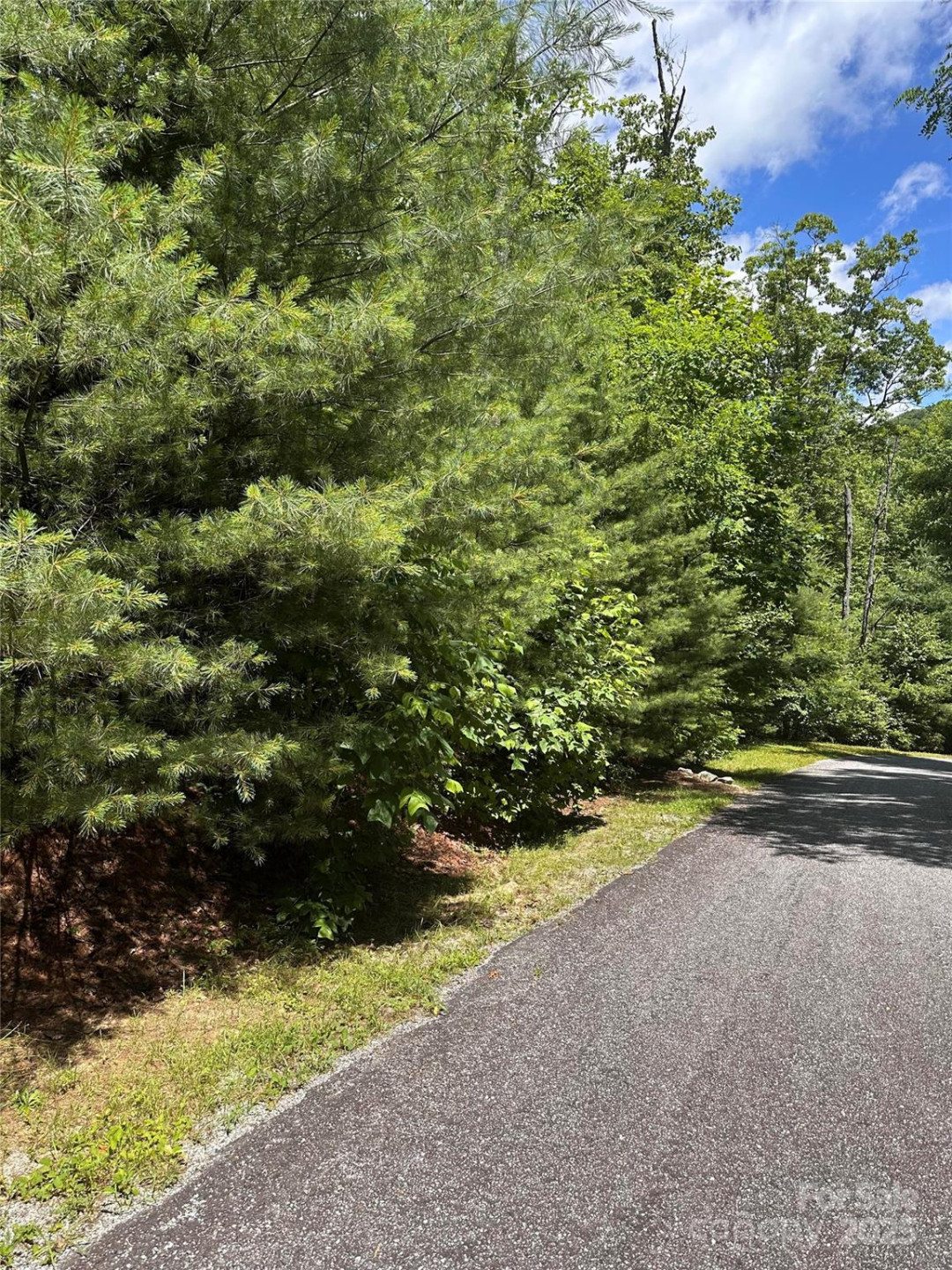 66 Boone Cove Road - Photo 4