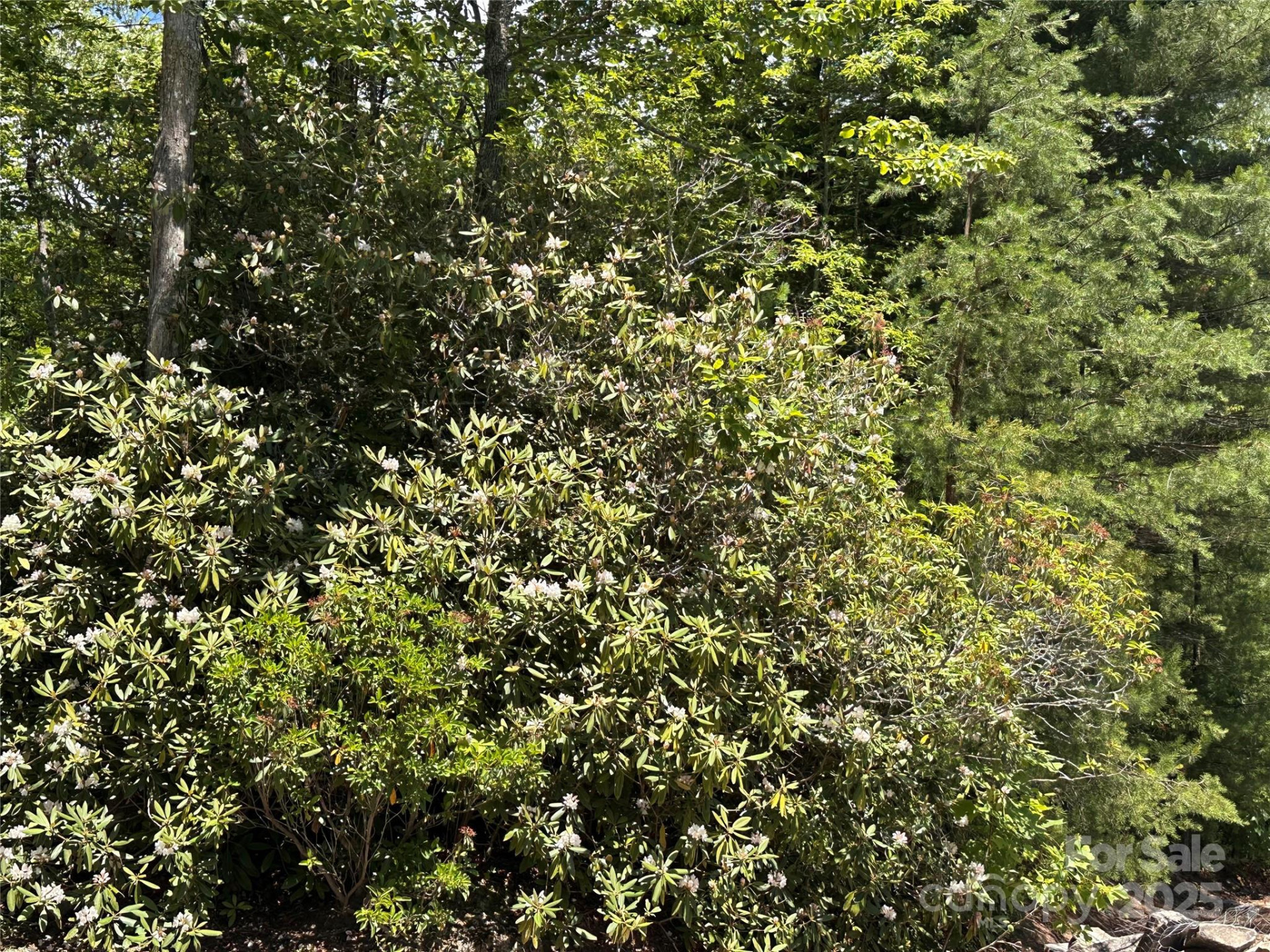 66 Boone Cove Road - Photo 6