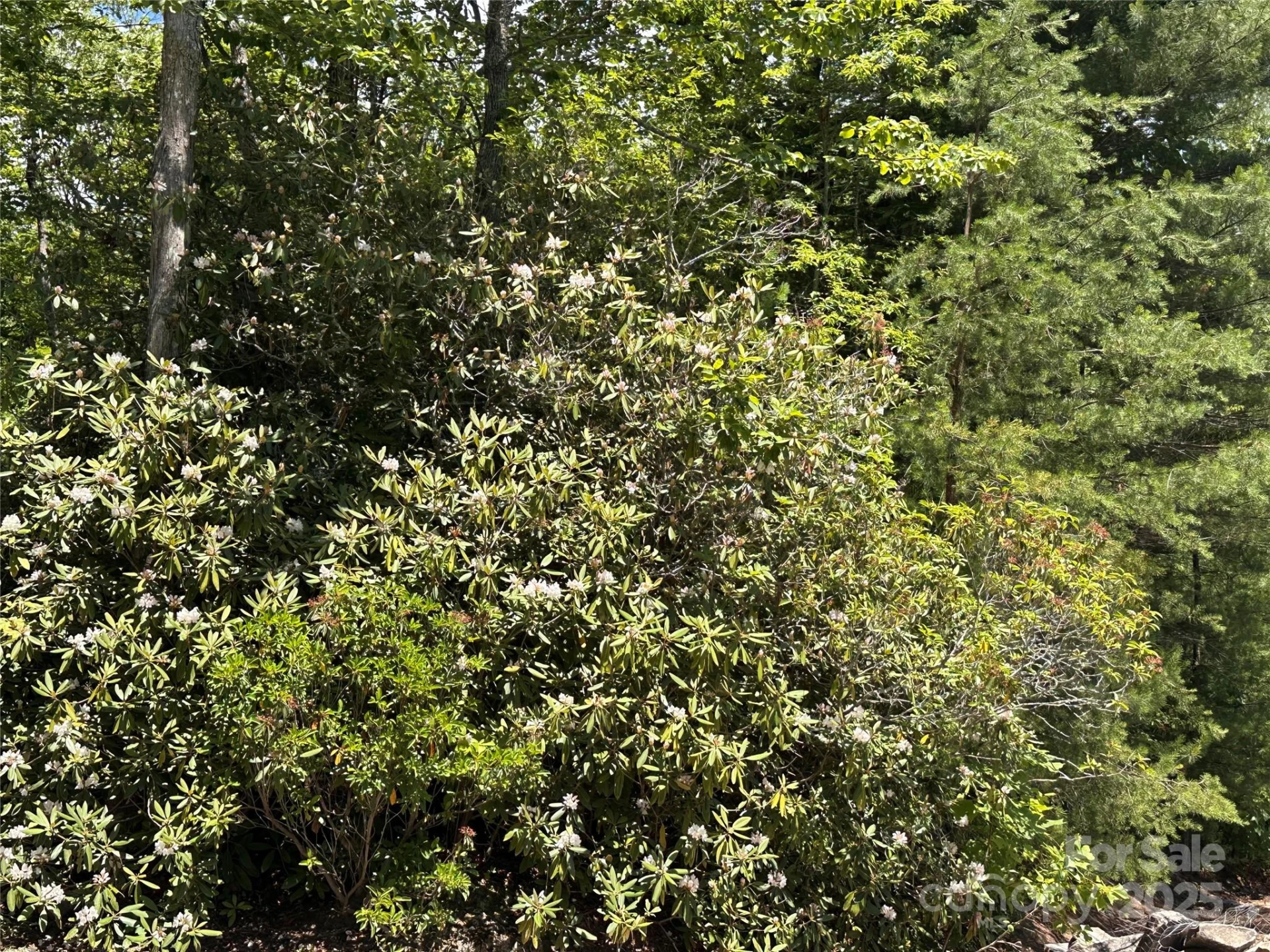 66 Boone Cove Road - Photo 6