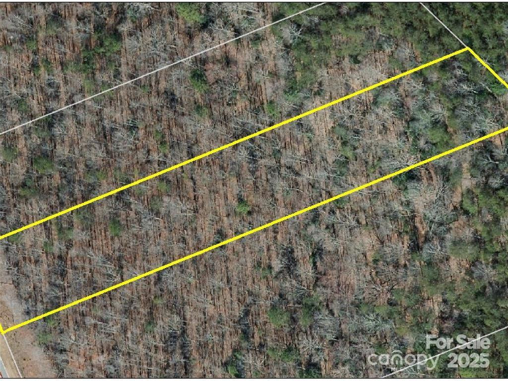 0 Boy Scout Road - Photo 11