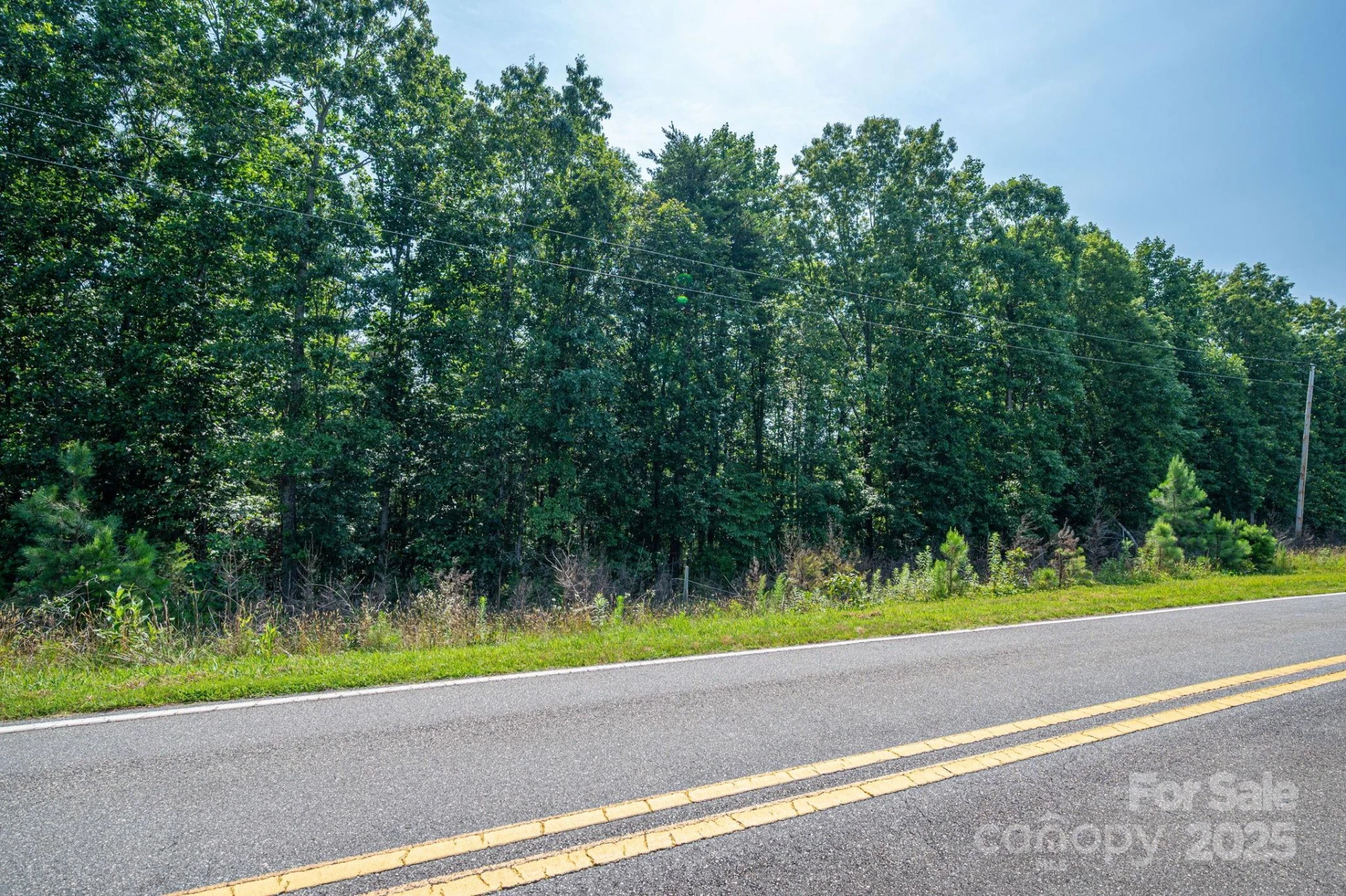 0 Boy Scout Road - Photo 7