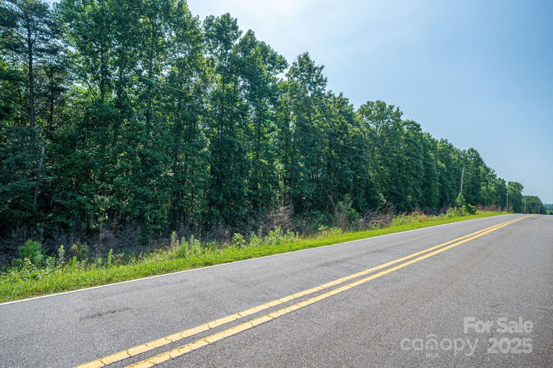 0 Boy Scout Road - Photo 13