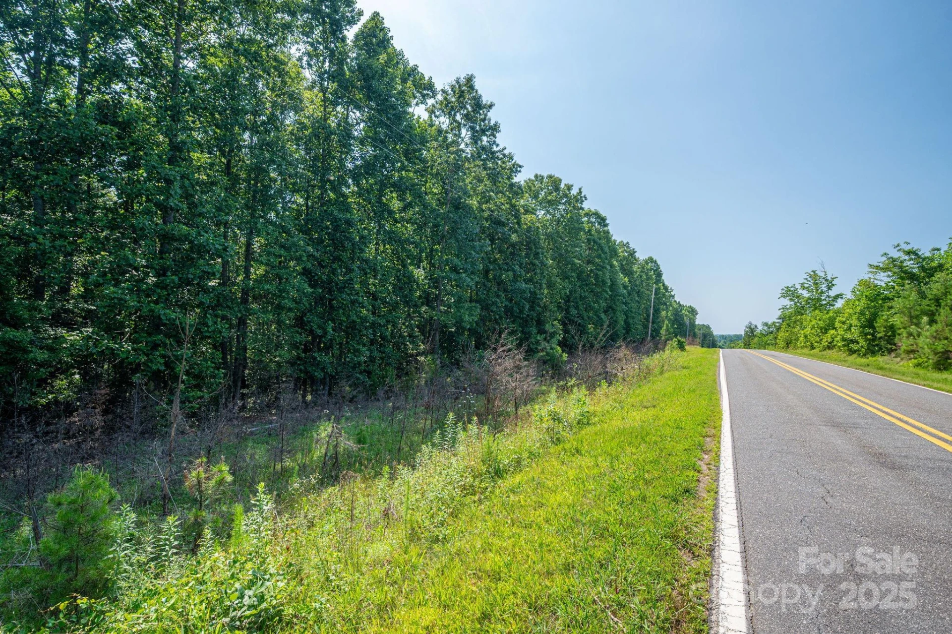 0 Boy Scout Road - Photo 14