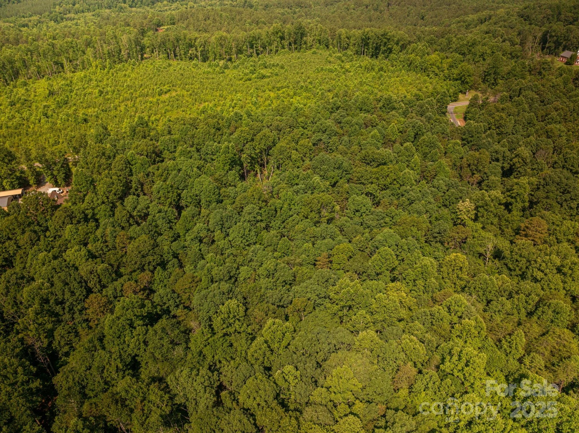 0 Boy Scout Road - Photo 4