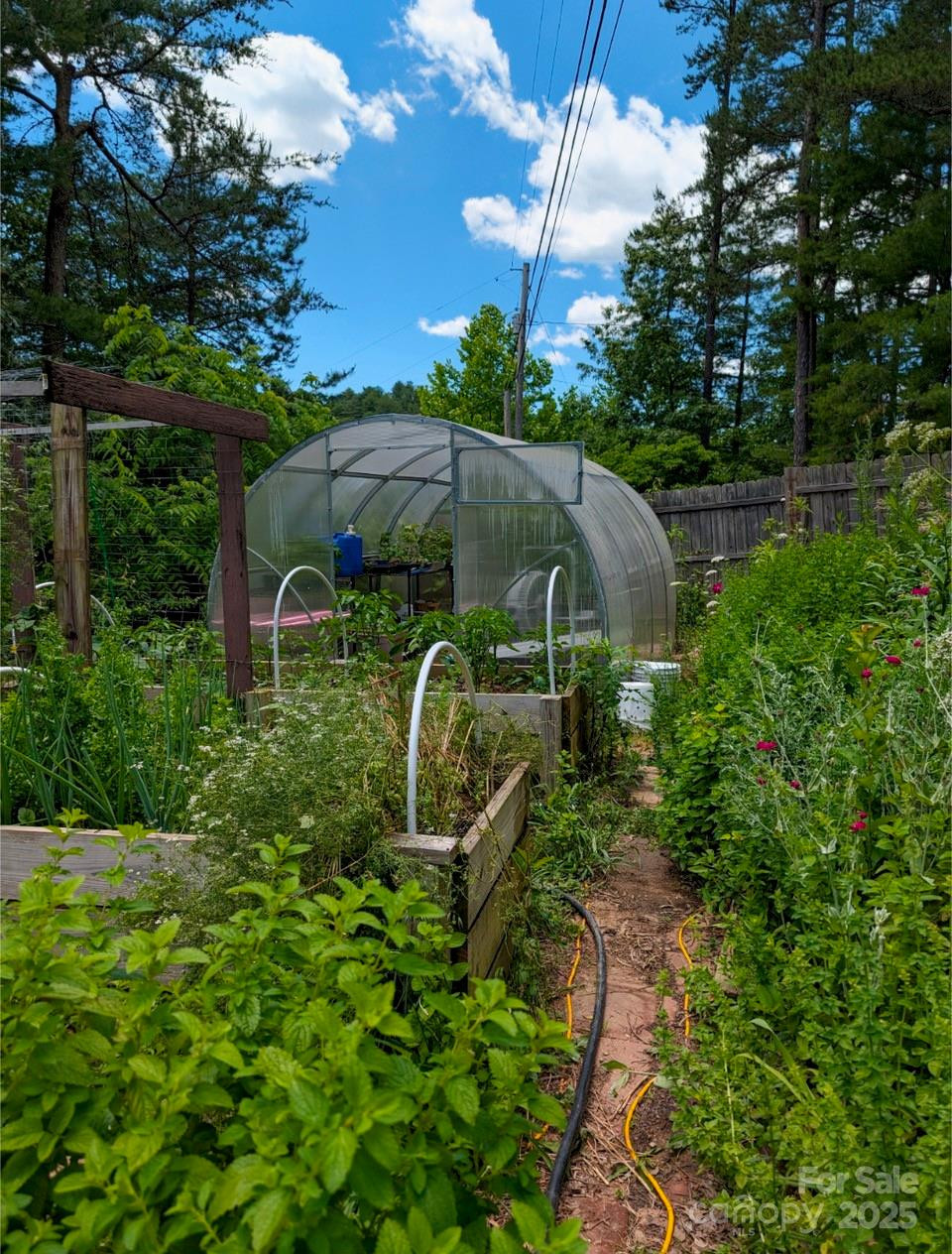 6 Sunrise Valley - Photo 42