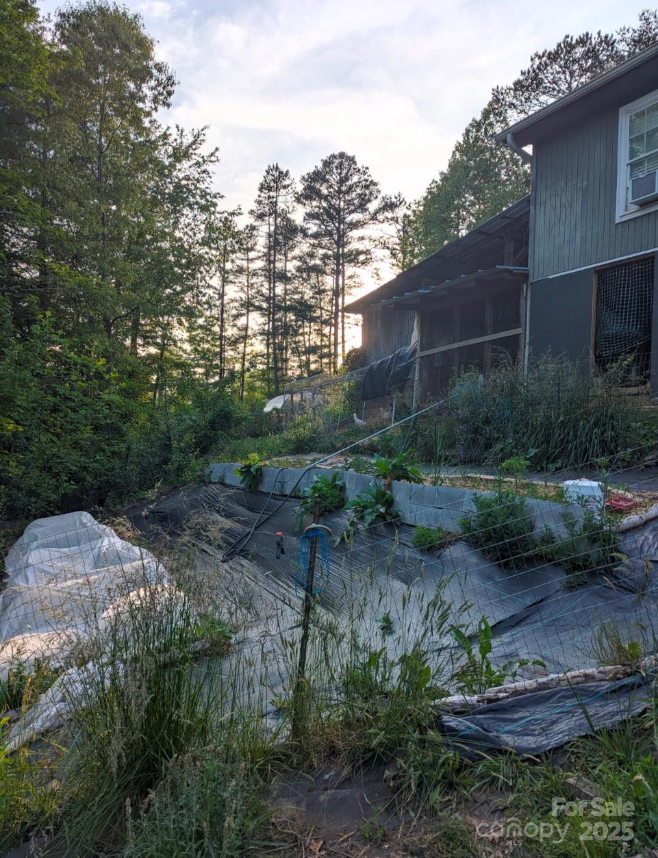 6 Sunrise Valley - Photo 43