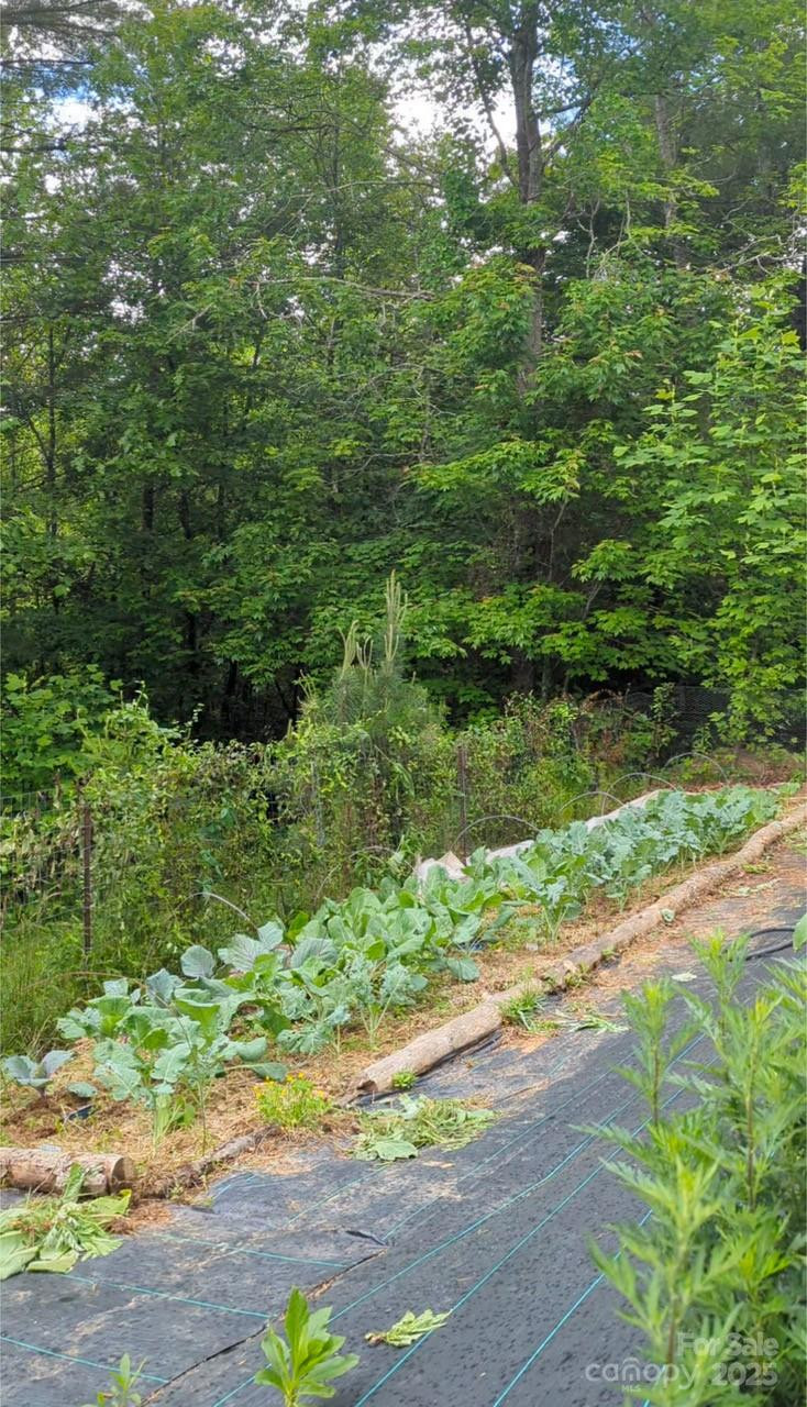 6 Sunrise Valley - Photo 44