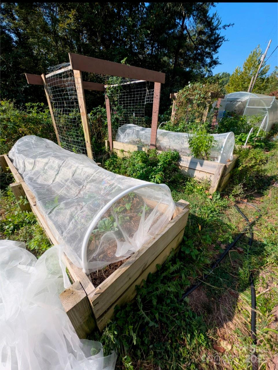 6 Sunrise Valley - Photo 45