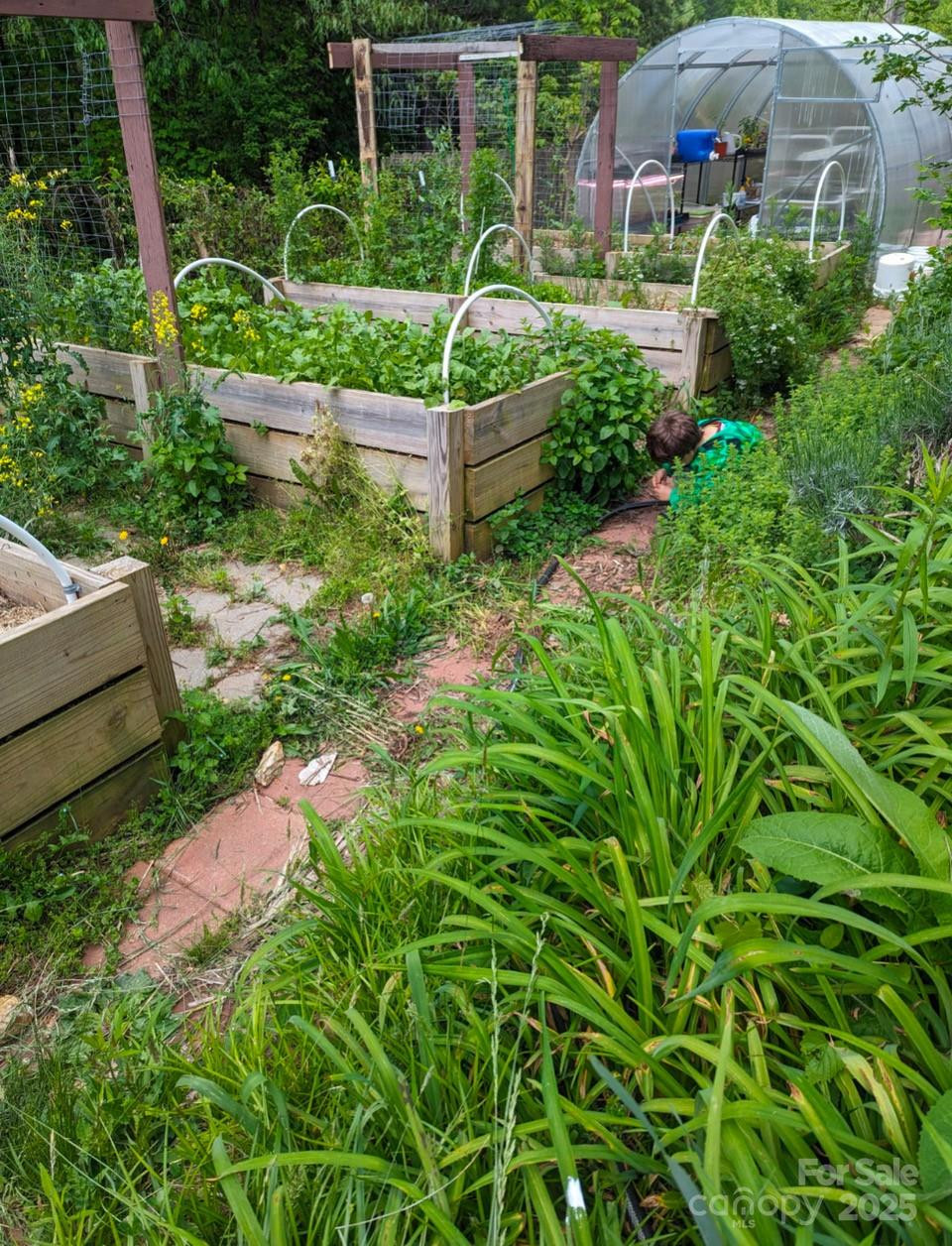 6 Sunrise Valley - Photo 46