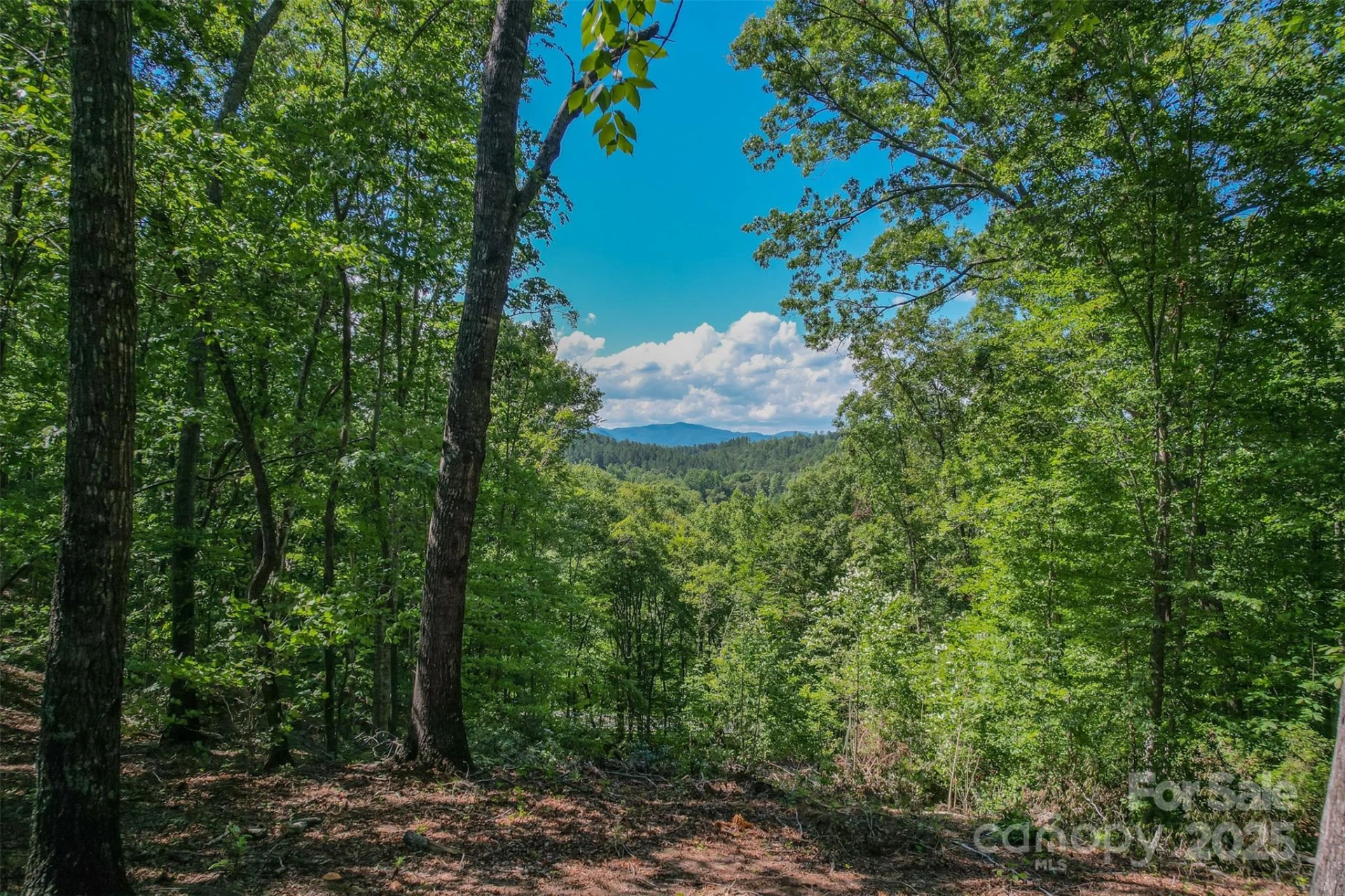 Lot 6 Cross Creek Trail