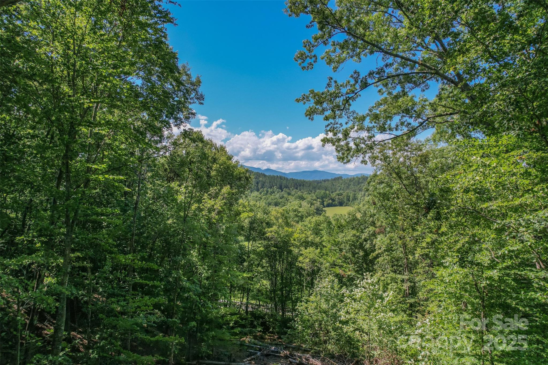 Lot 6 Cross Creek Trail - Photo 4