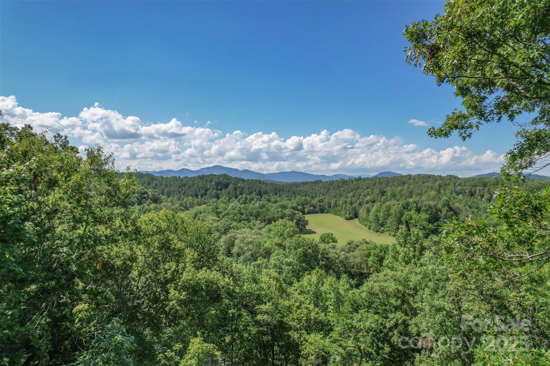 Lot 6 Cross Creek Trail - Photo 5