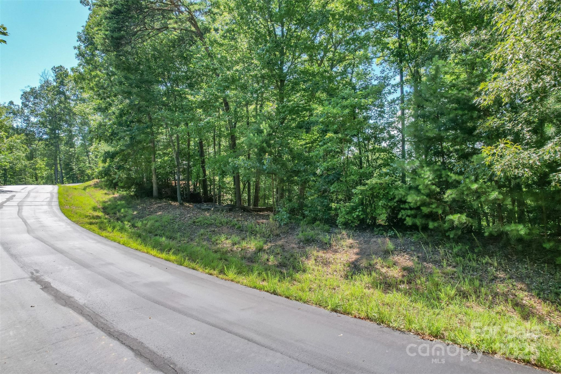 Lot 6 Cross Creek Trail - Photo 6