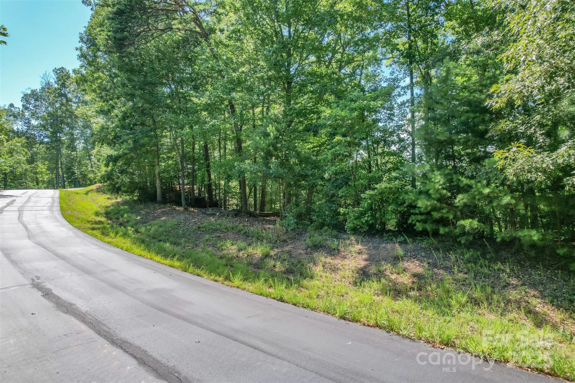 Lot 6 Cross Creek Trail - Photo 6