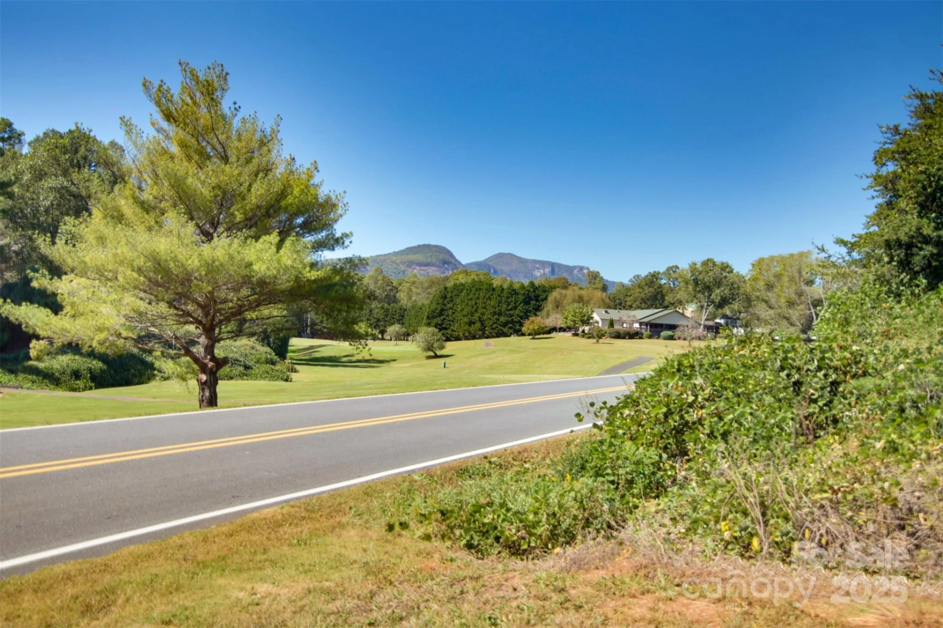 Lot 13 Buffalo Creek Road #13