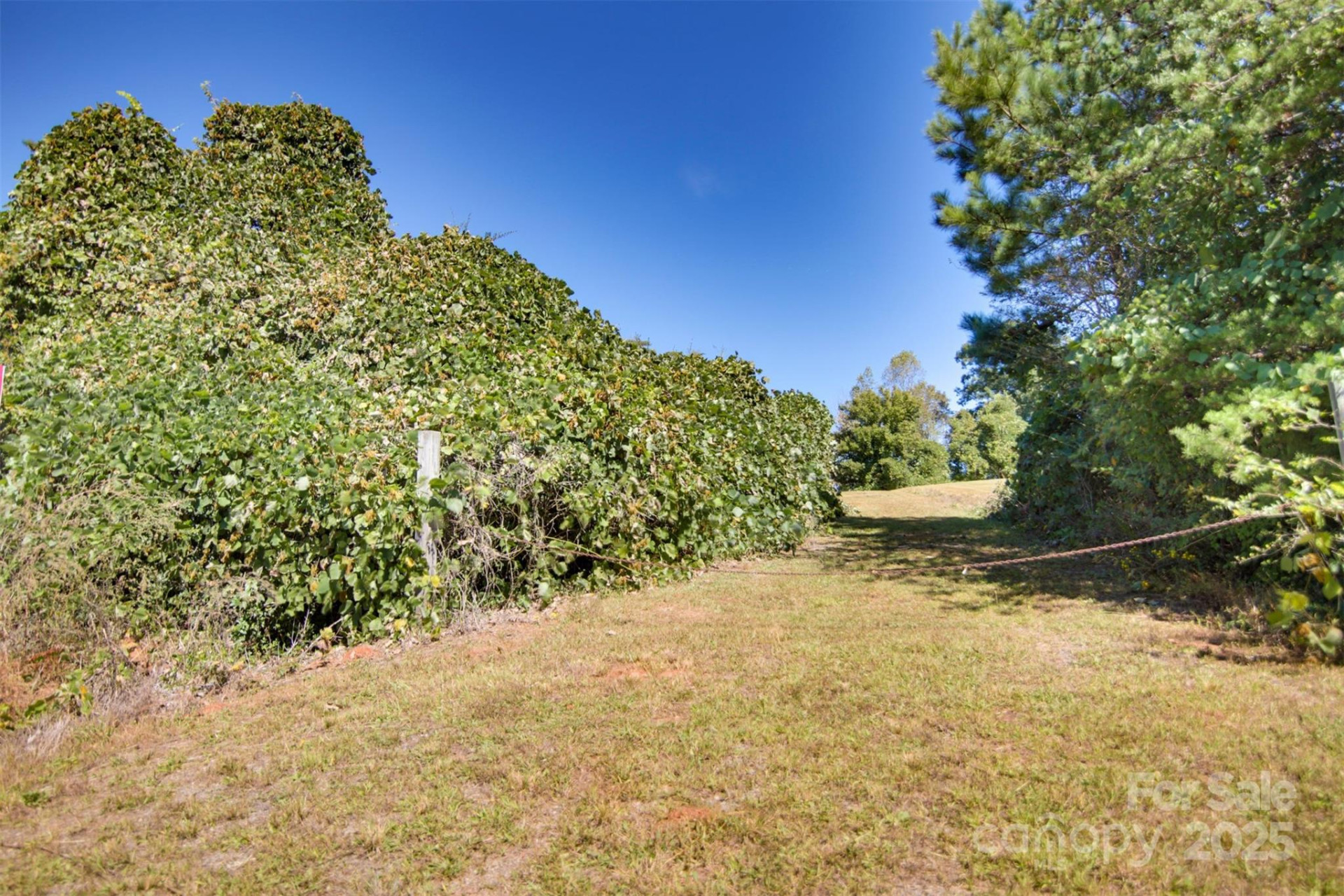 Lot 13 Buffalo Creek Road #13 - Photo 2