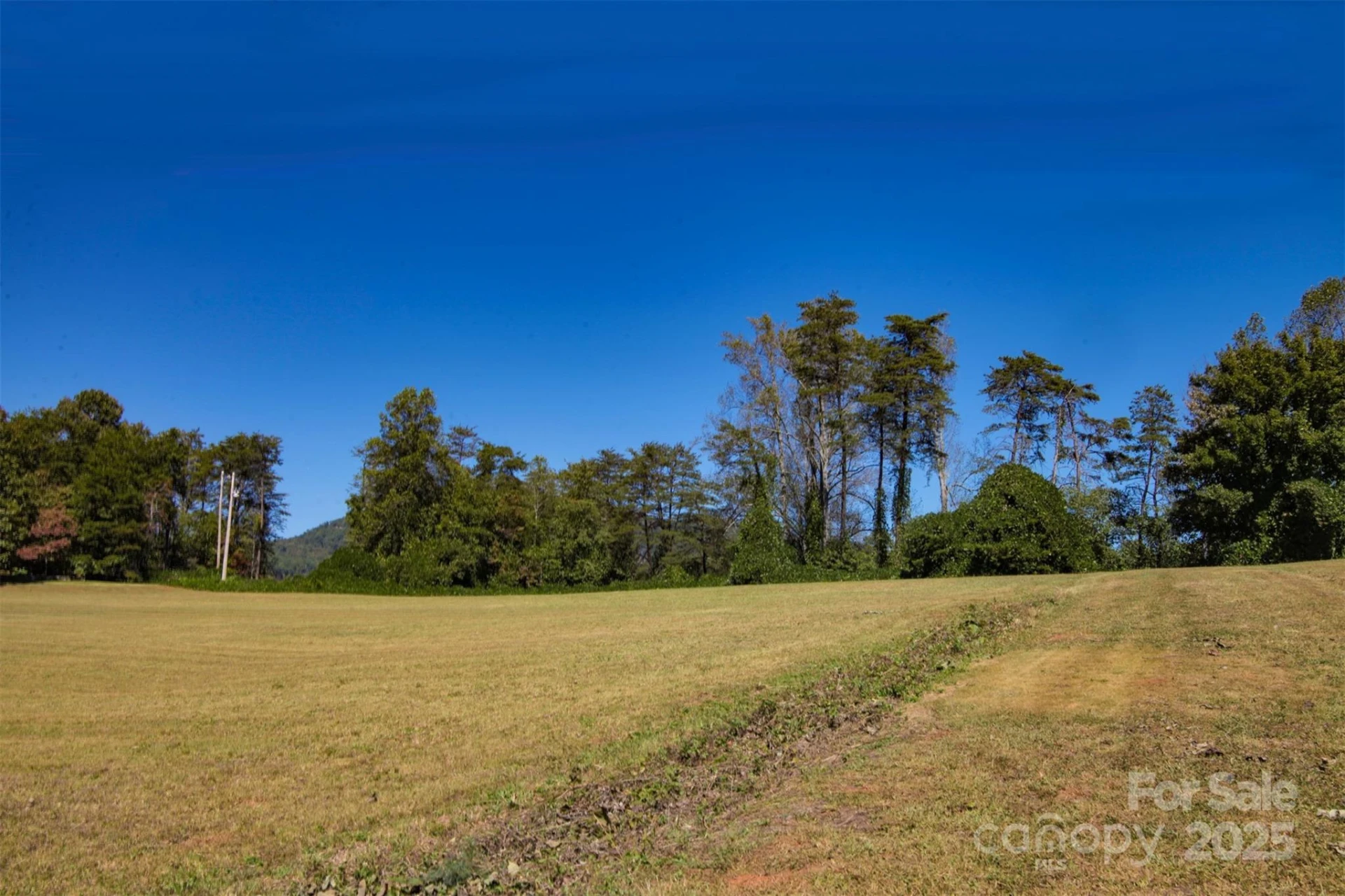 Lot 13 Buffalo Creek Road #13 - Photo 12