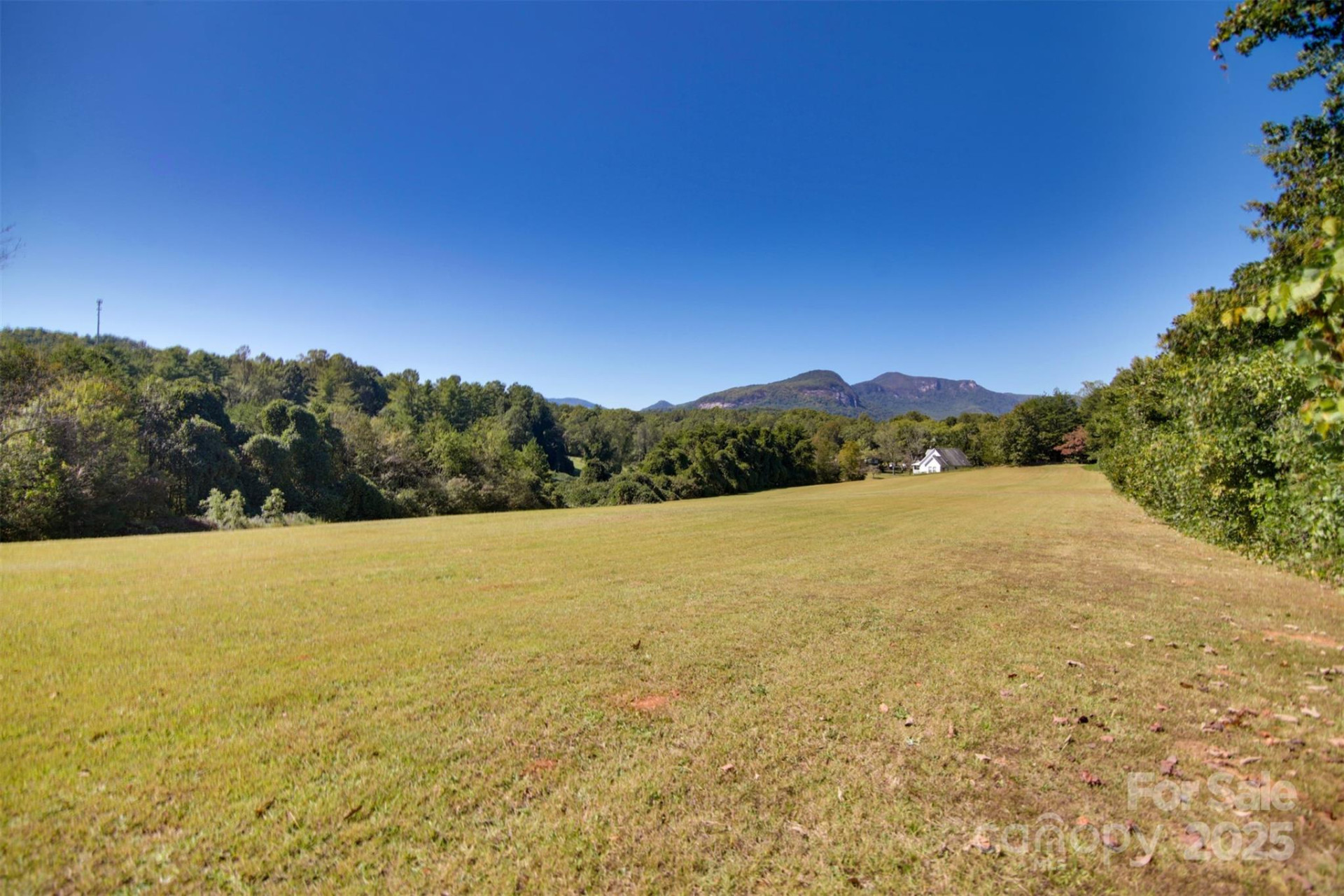 Lot 13 Buffalo Creek Road #13 - Photo 13