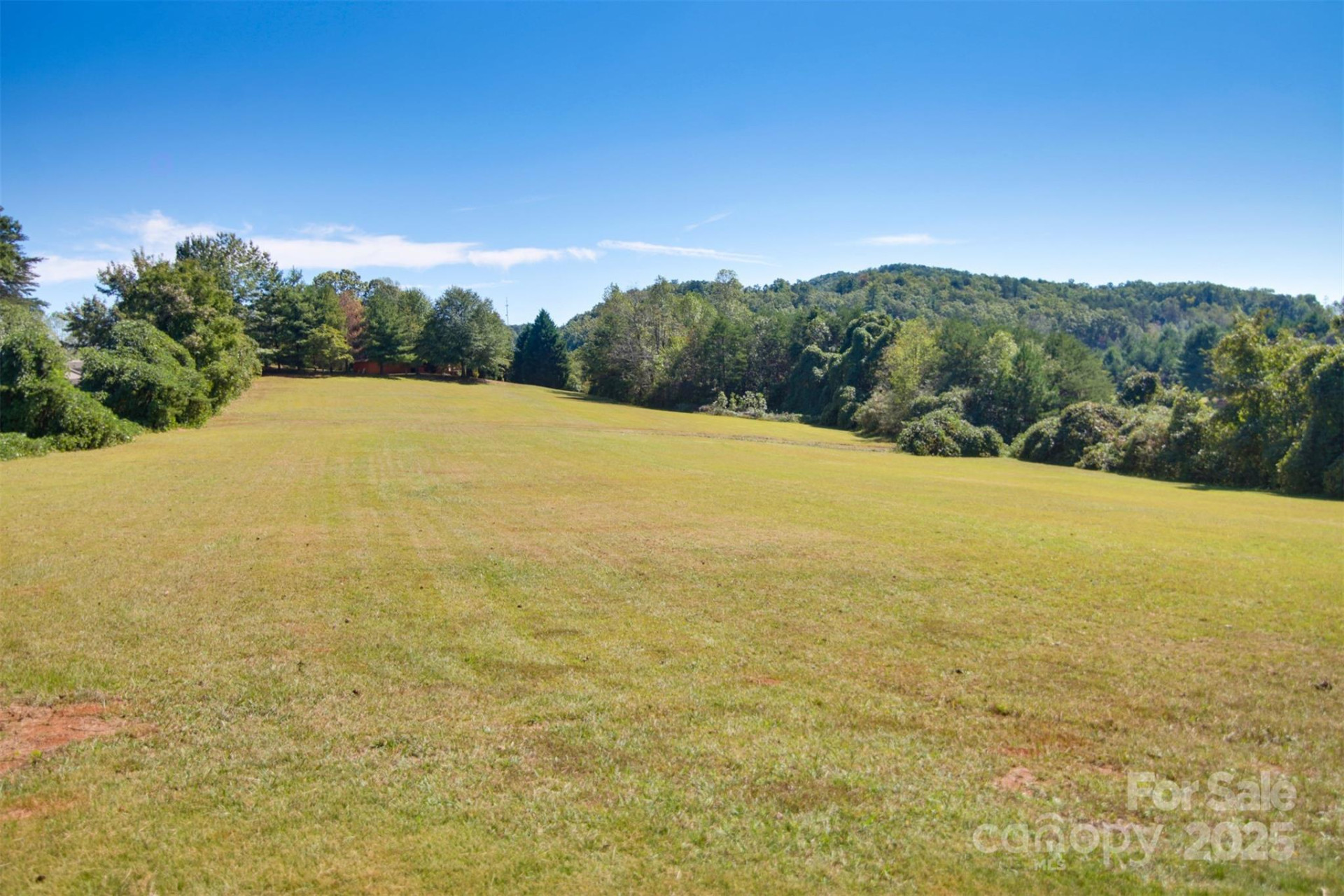 Lot 13 Buffalo Creek Road #13 - Photo 14