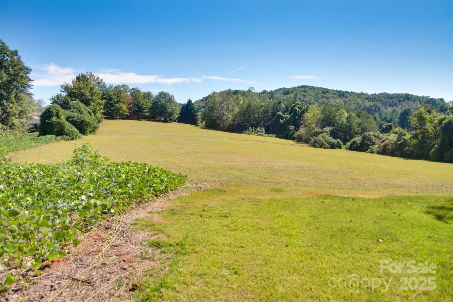 Lot 13 Buffalo Creek Road #13 - Photo 15