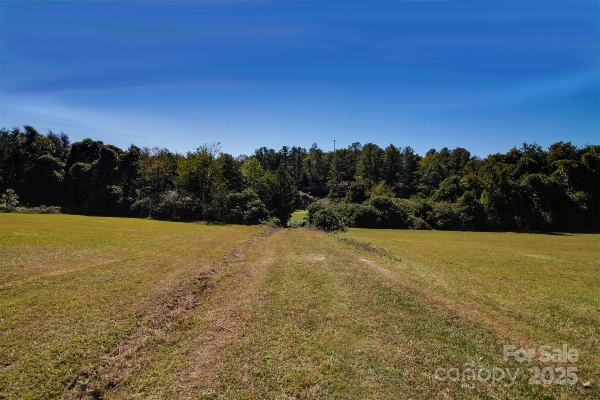 Lot 13 Buffalo Creek Road #13 - Photo 17
