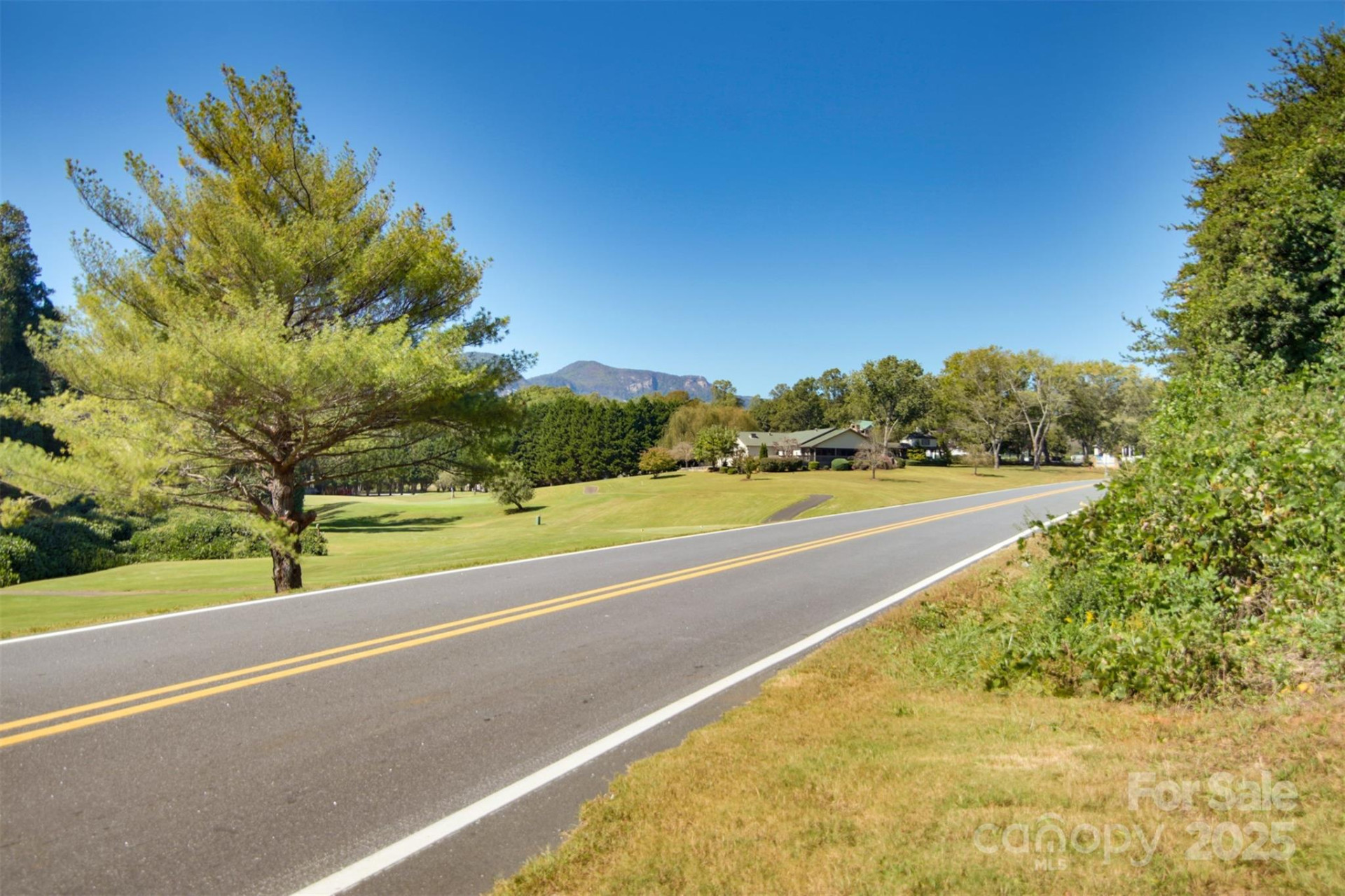 Lot 13 Buffalo Creek Road #13 - Photo 18