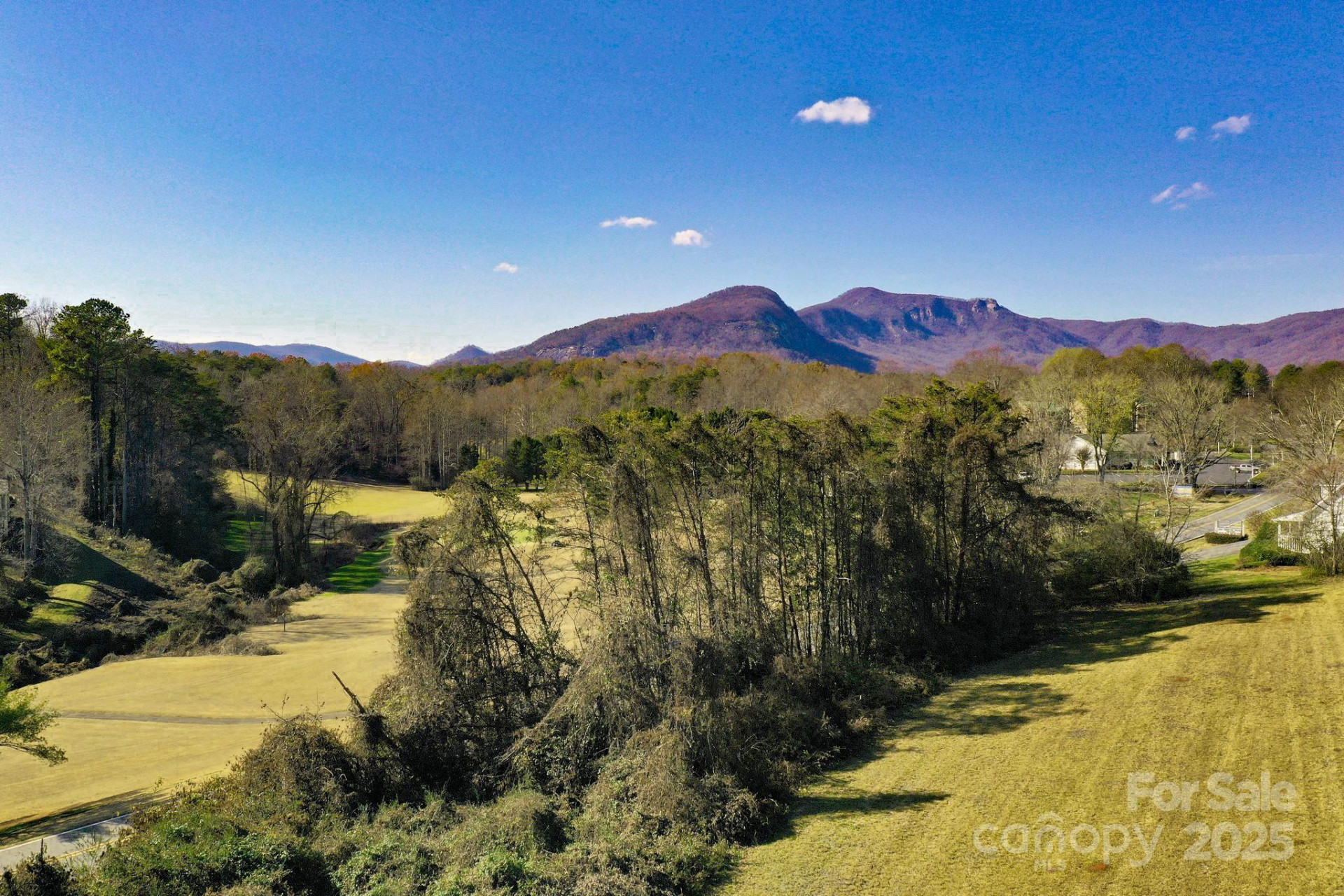 Lot 13 Buffalo Creek Road #13 - Photo 7