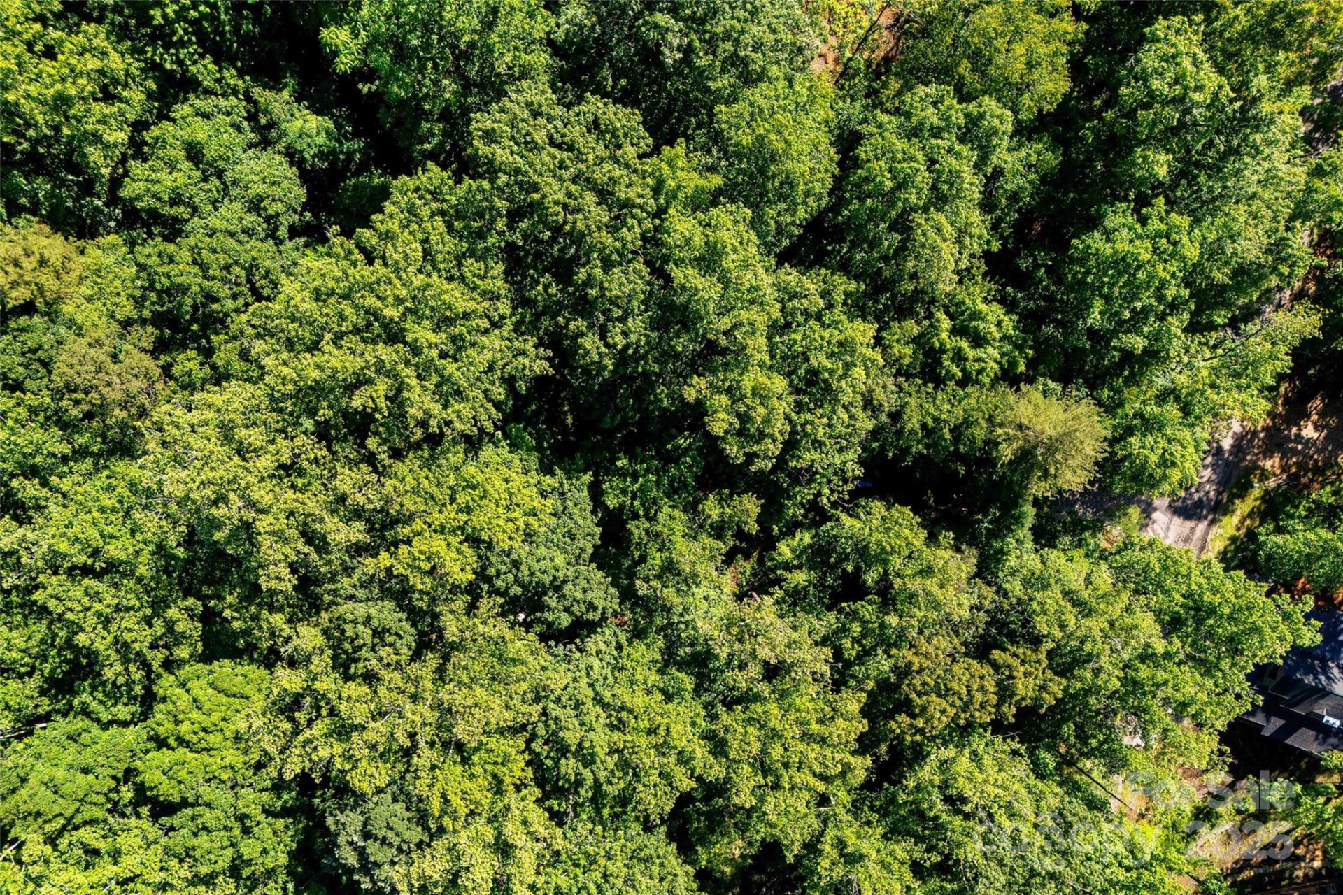 Lot #76 Hunnicut Spur Road - Photo 14