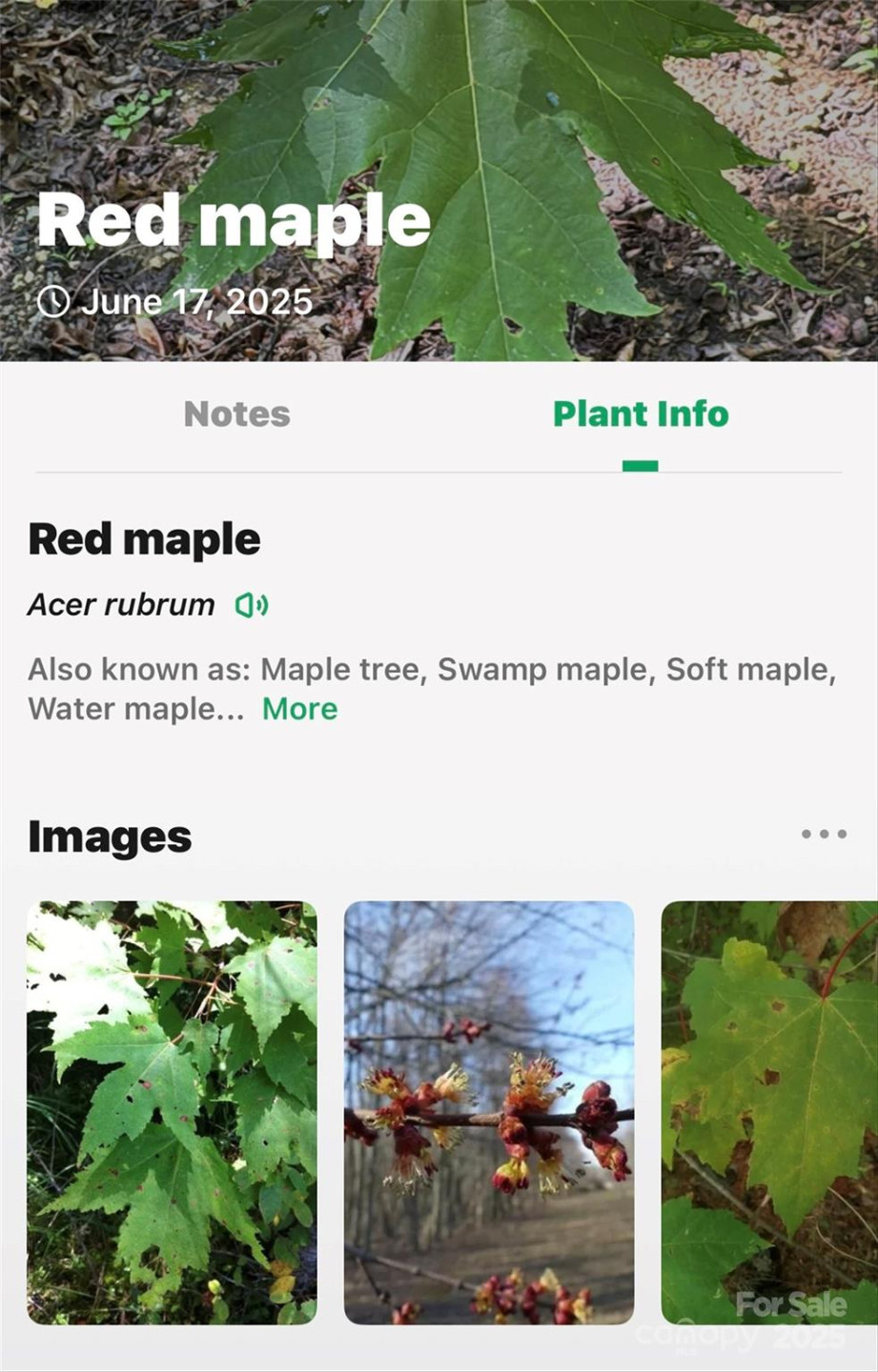 Lot #76 Hunnicut Spur Road - Photo 20