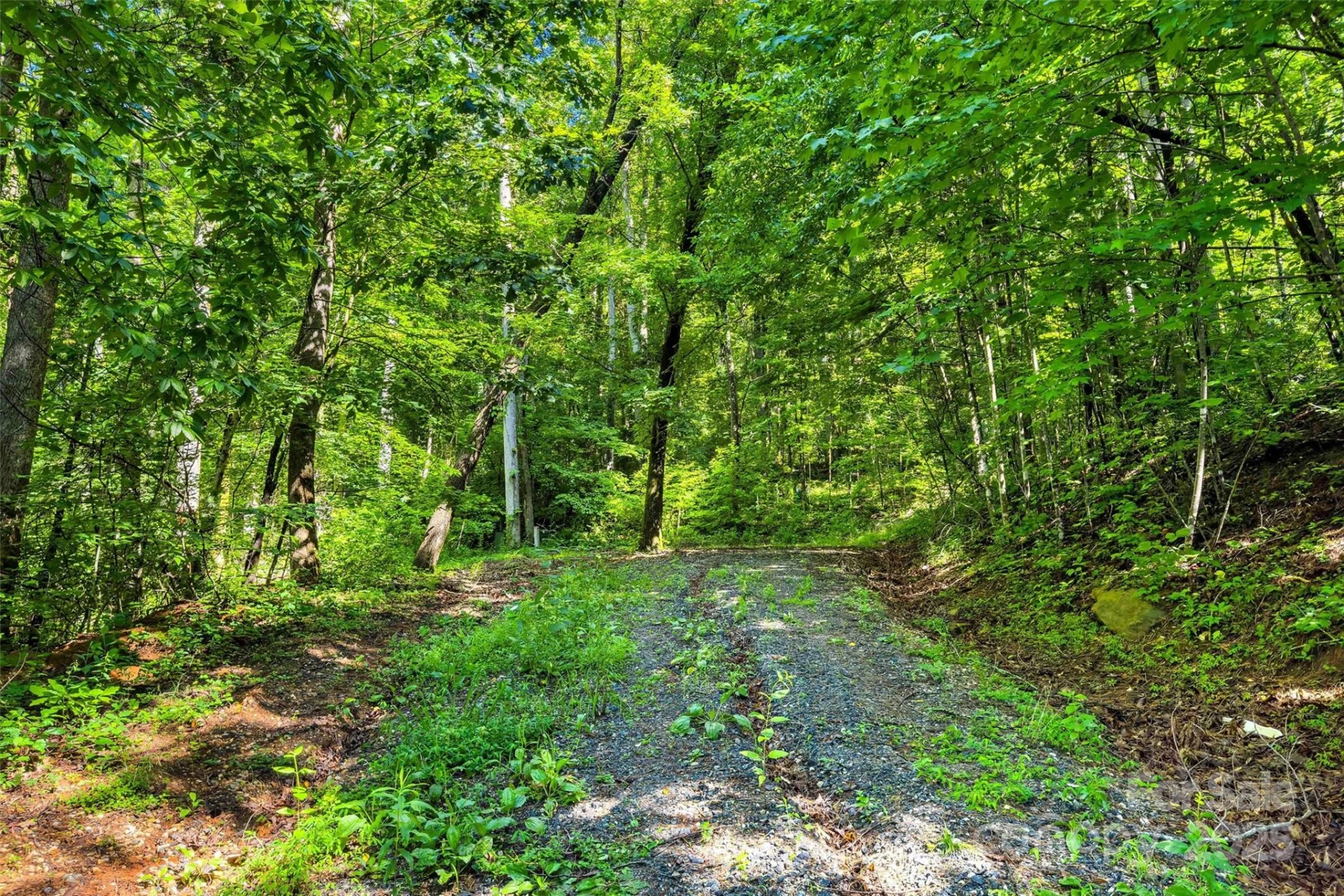 Lot #76 Hunnicut Spur Road - Photo 3