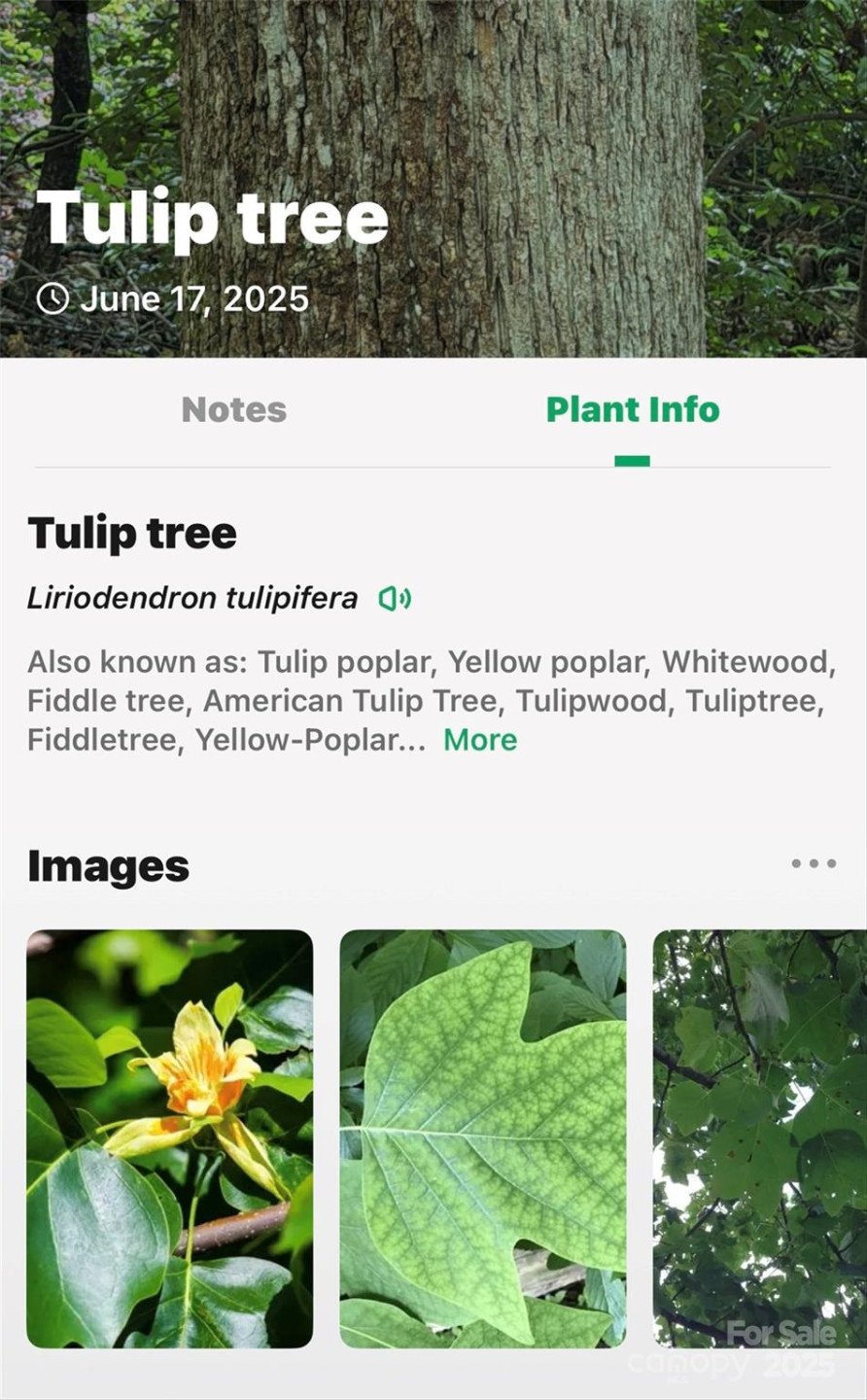 Lot #76 Hunnicut Spur Road - Photo 23