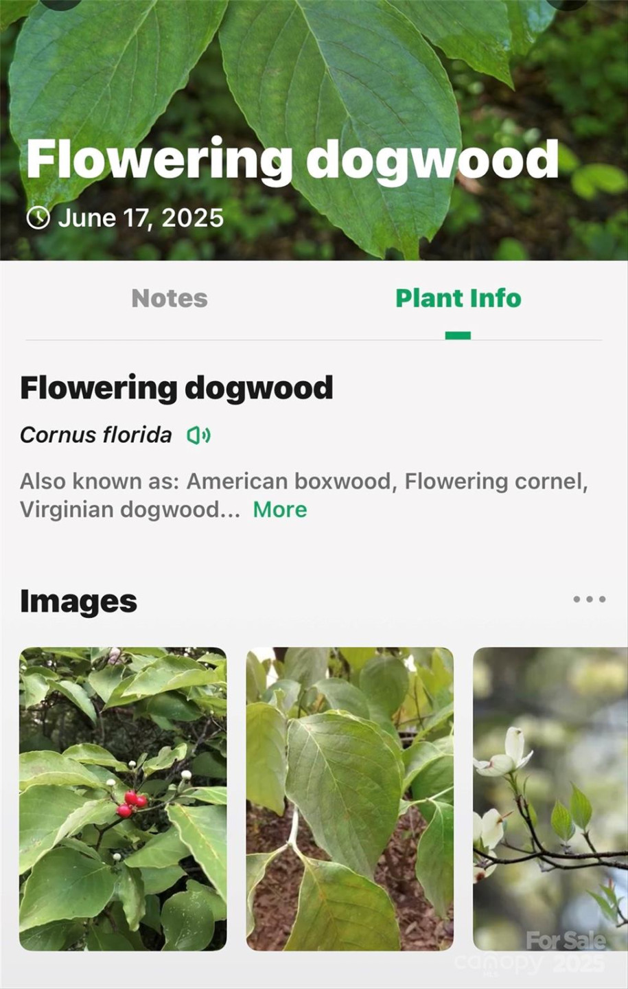 Lot #76 Hunnicut Spur Road - Photo 28