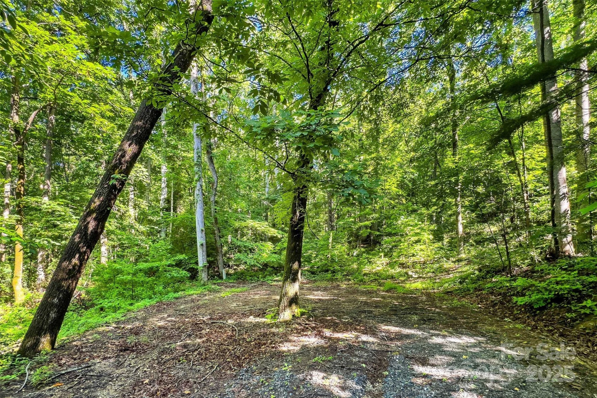 Lot #76 Hunnicut Spur Road - Photo 4