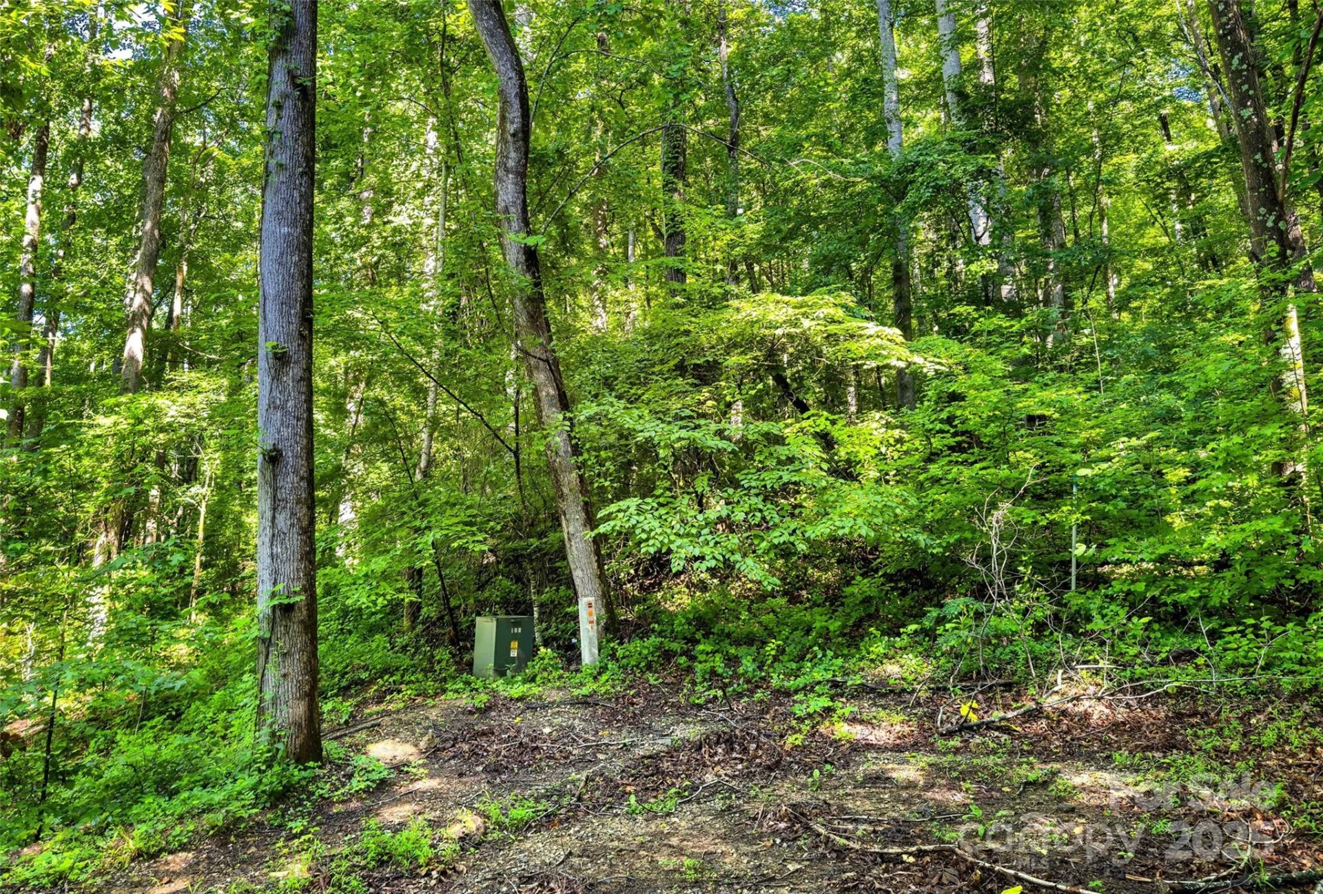 Lot #76 Hunnicut Spur Road - Photo 5