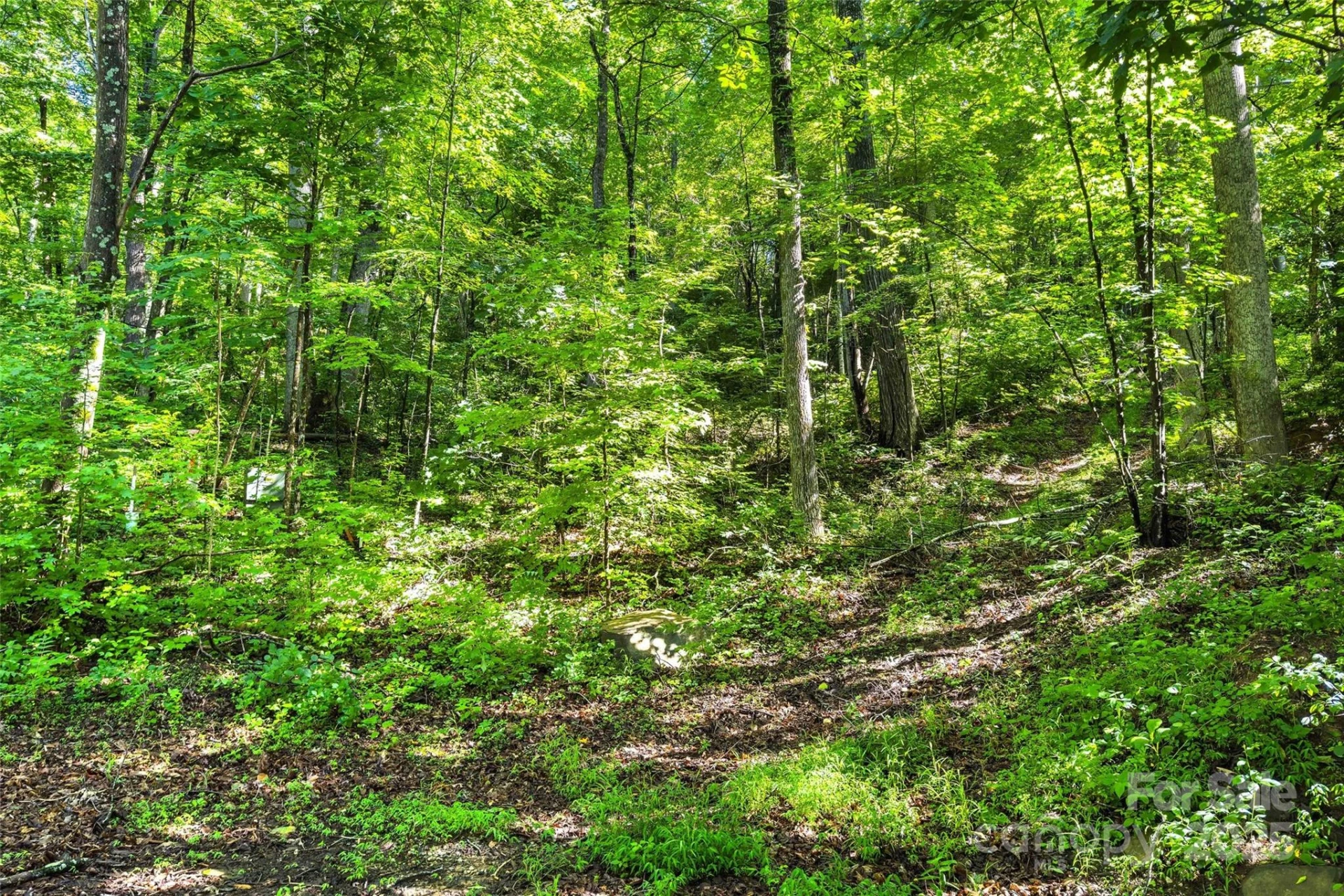 Lot #76 Hunnicut Spur Road - Photo 6