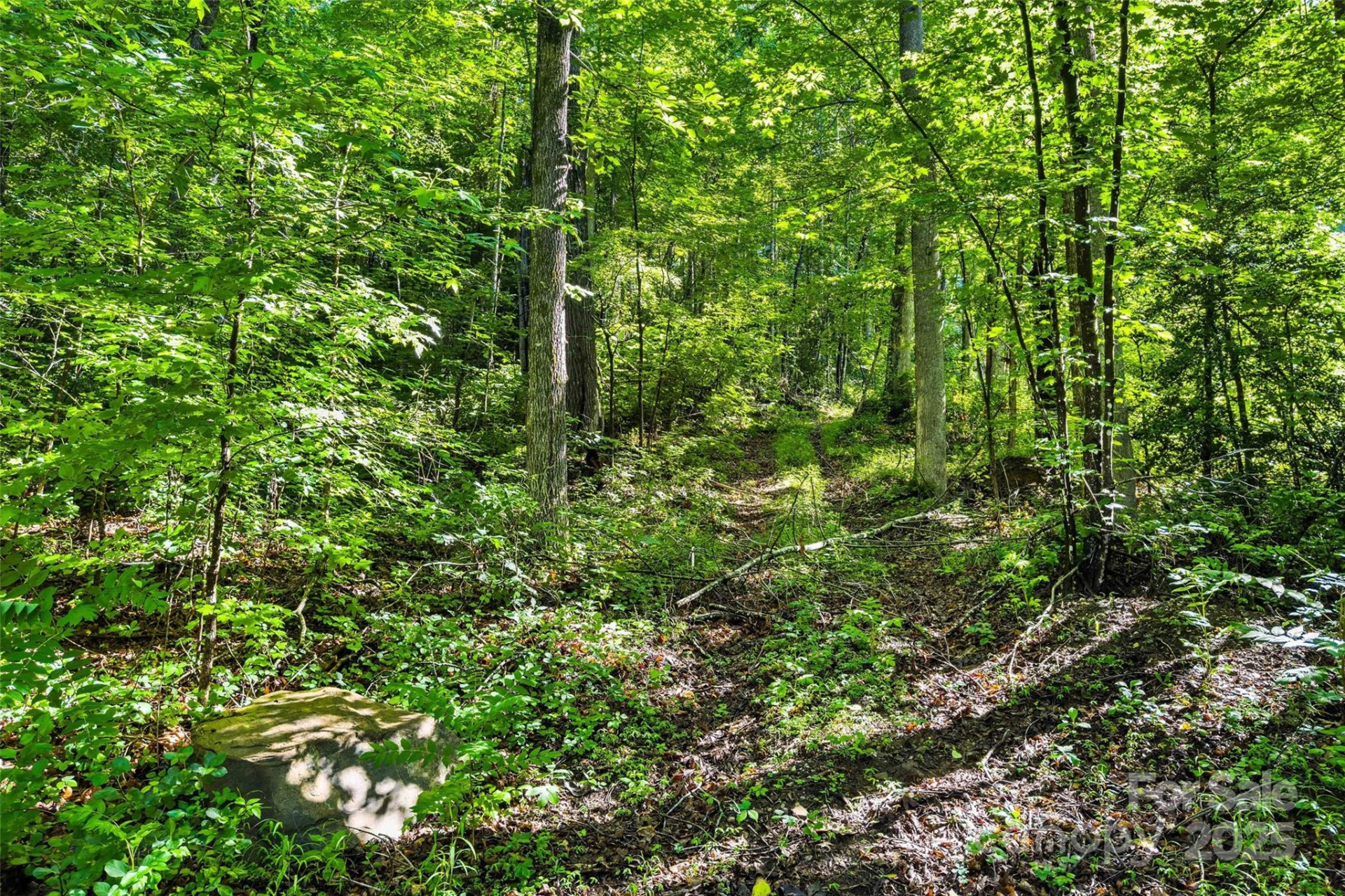 Lot #76 Hunnicut Spur Road - Photo 8